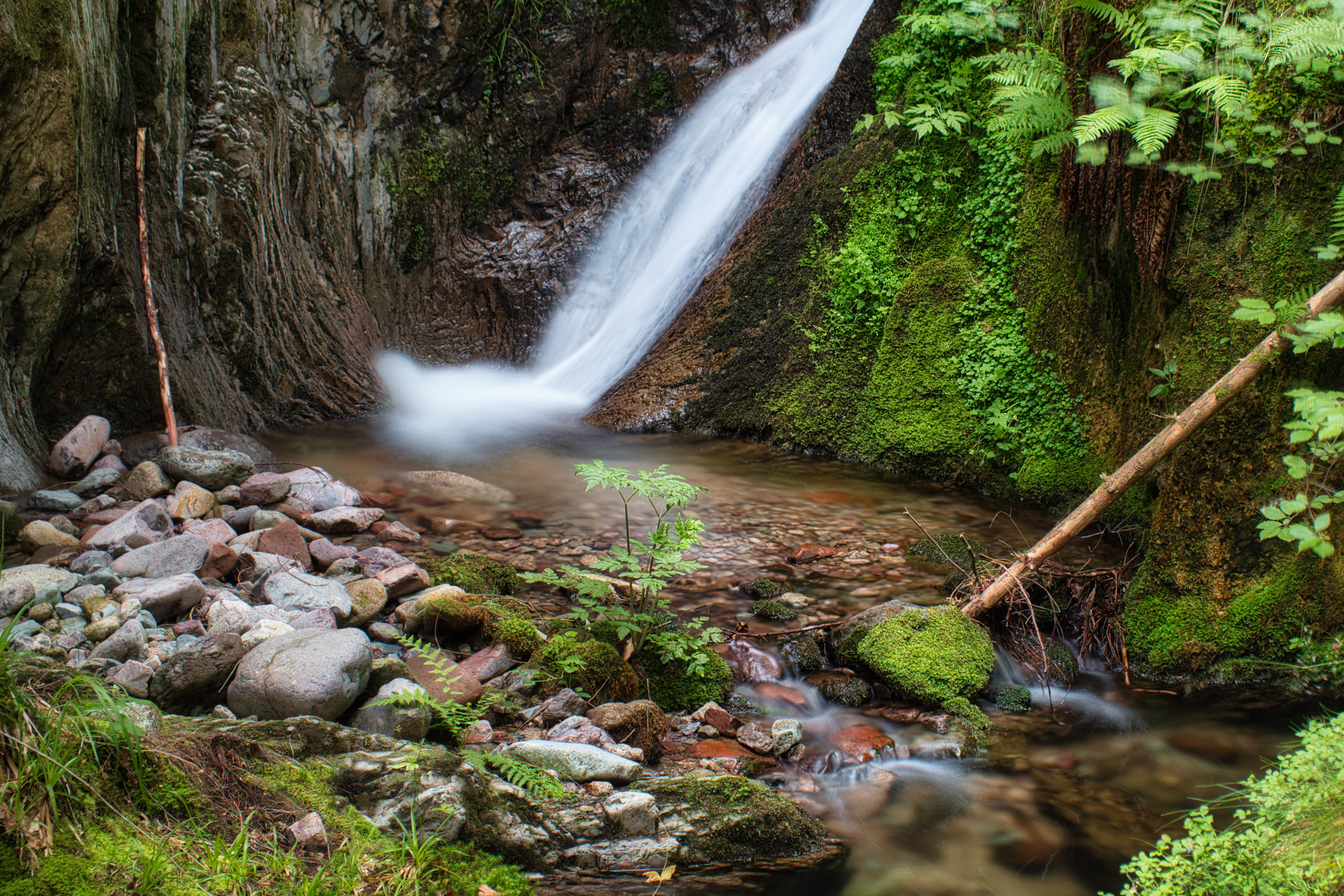 Black Forest Waterfall | 2020