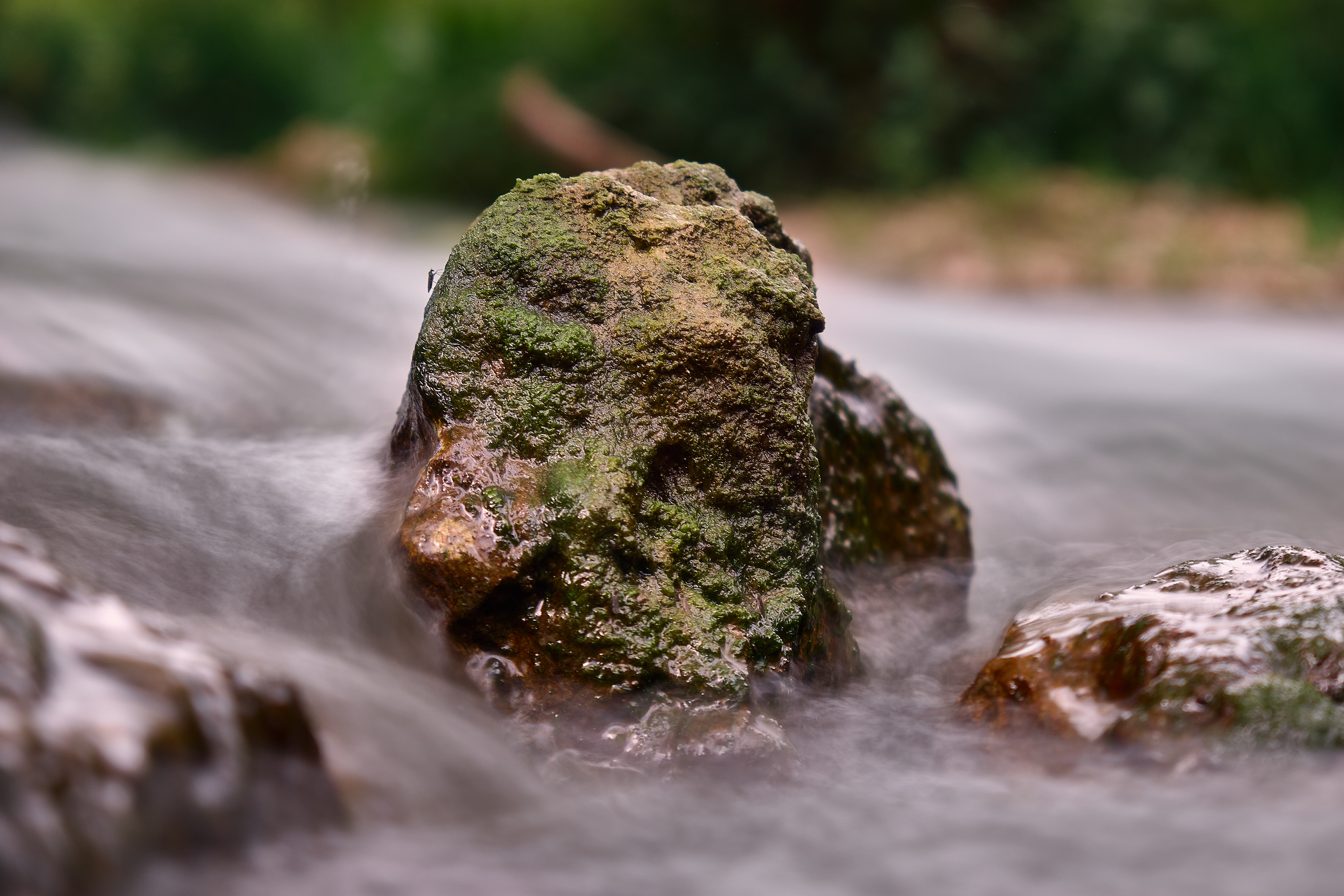 Boulder in Lauterach | 2019