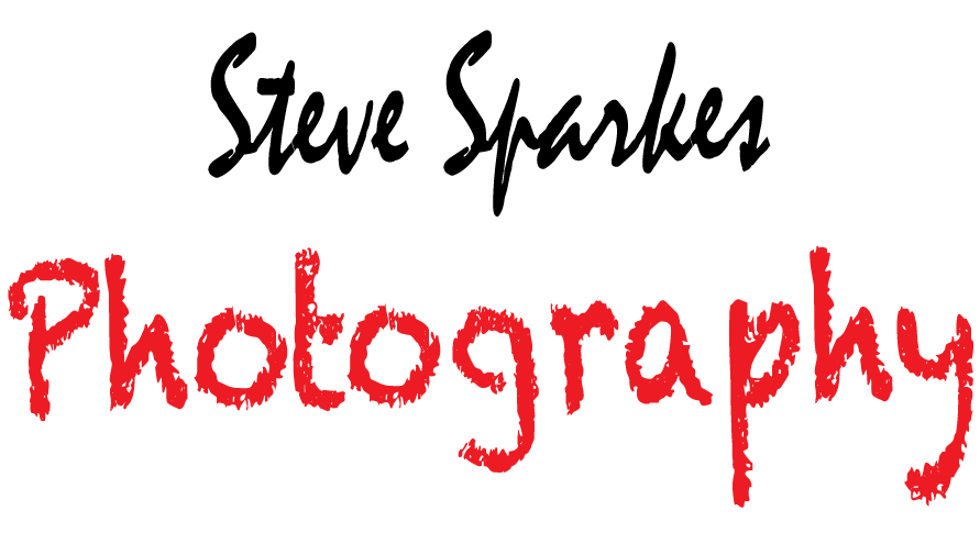 Steve Sparkes