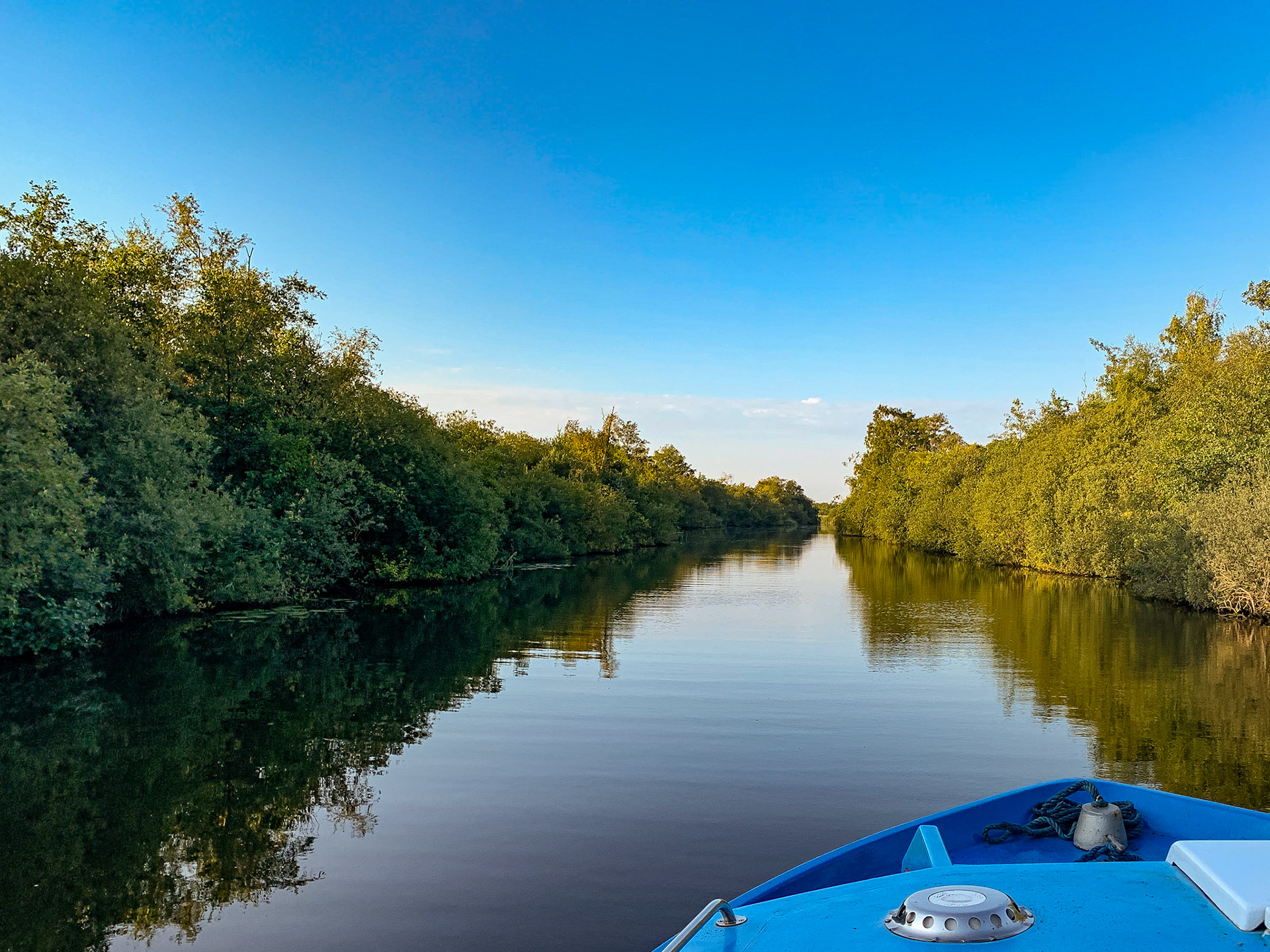 Early morning cruise down the River Ant