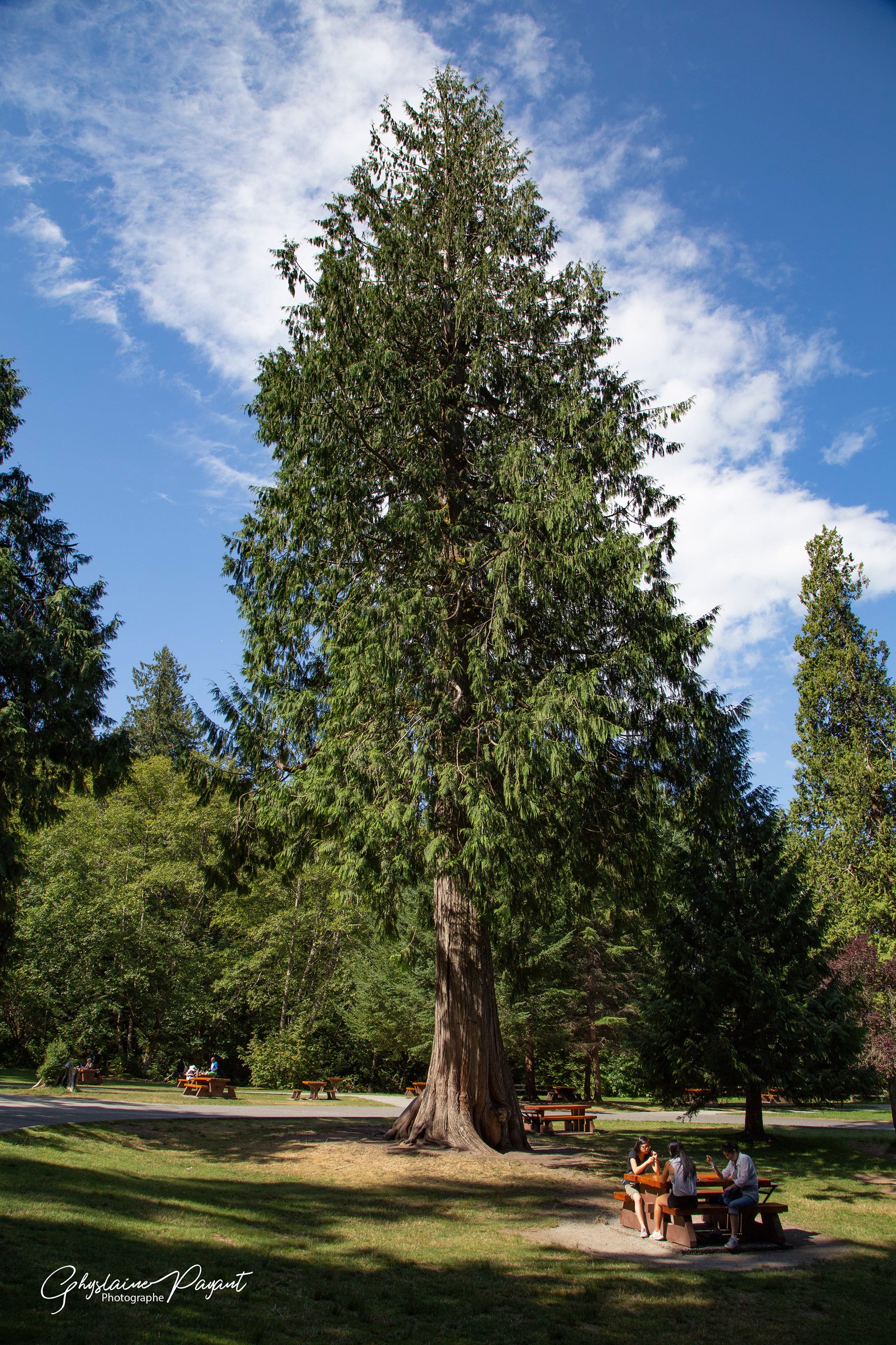 Shannon Falls Provincial Park