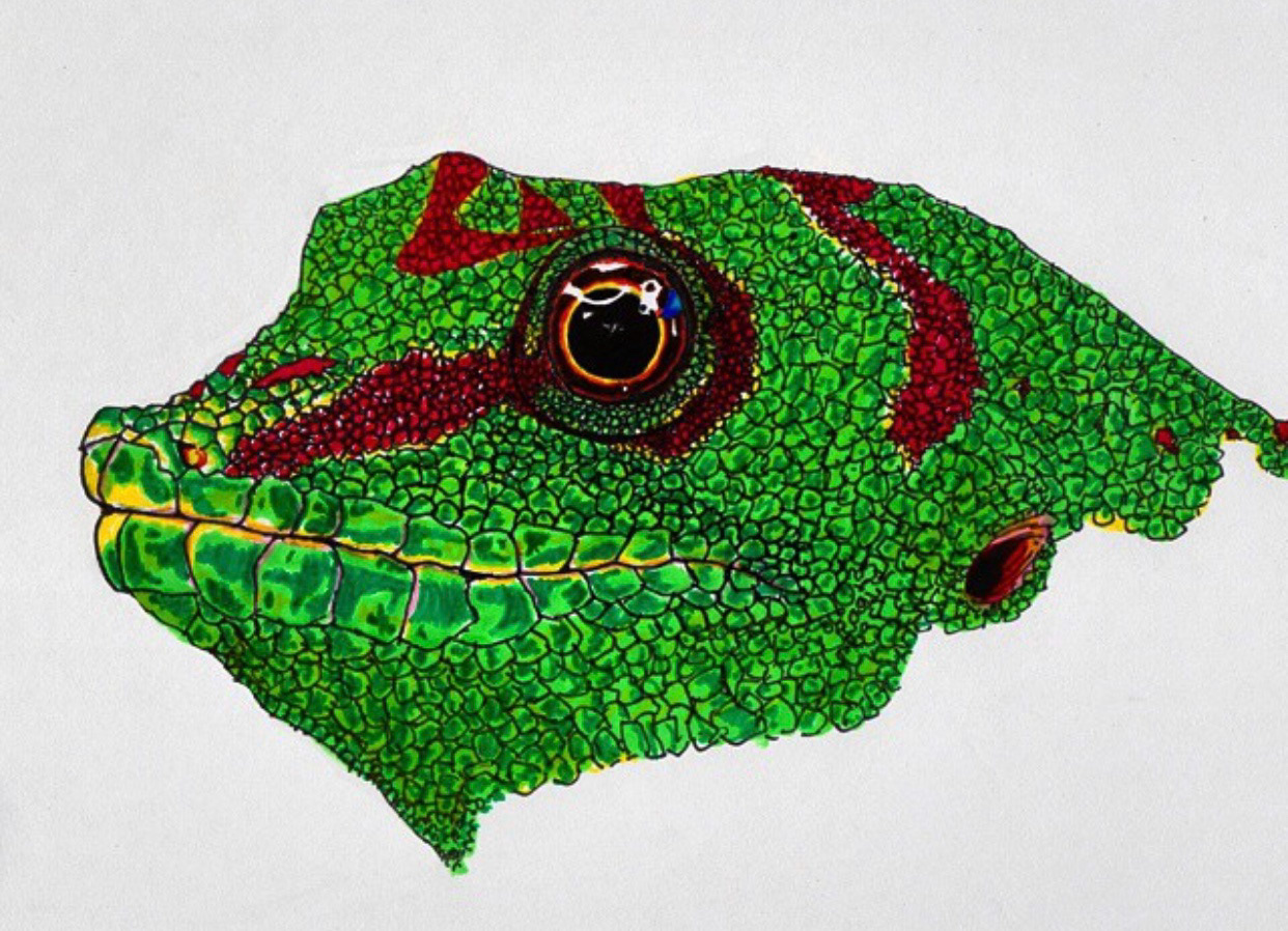 Iguana (2015)