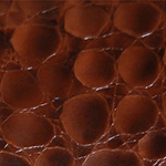 Brown Alligator