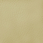 Ivory Levant