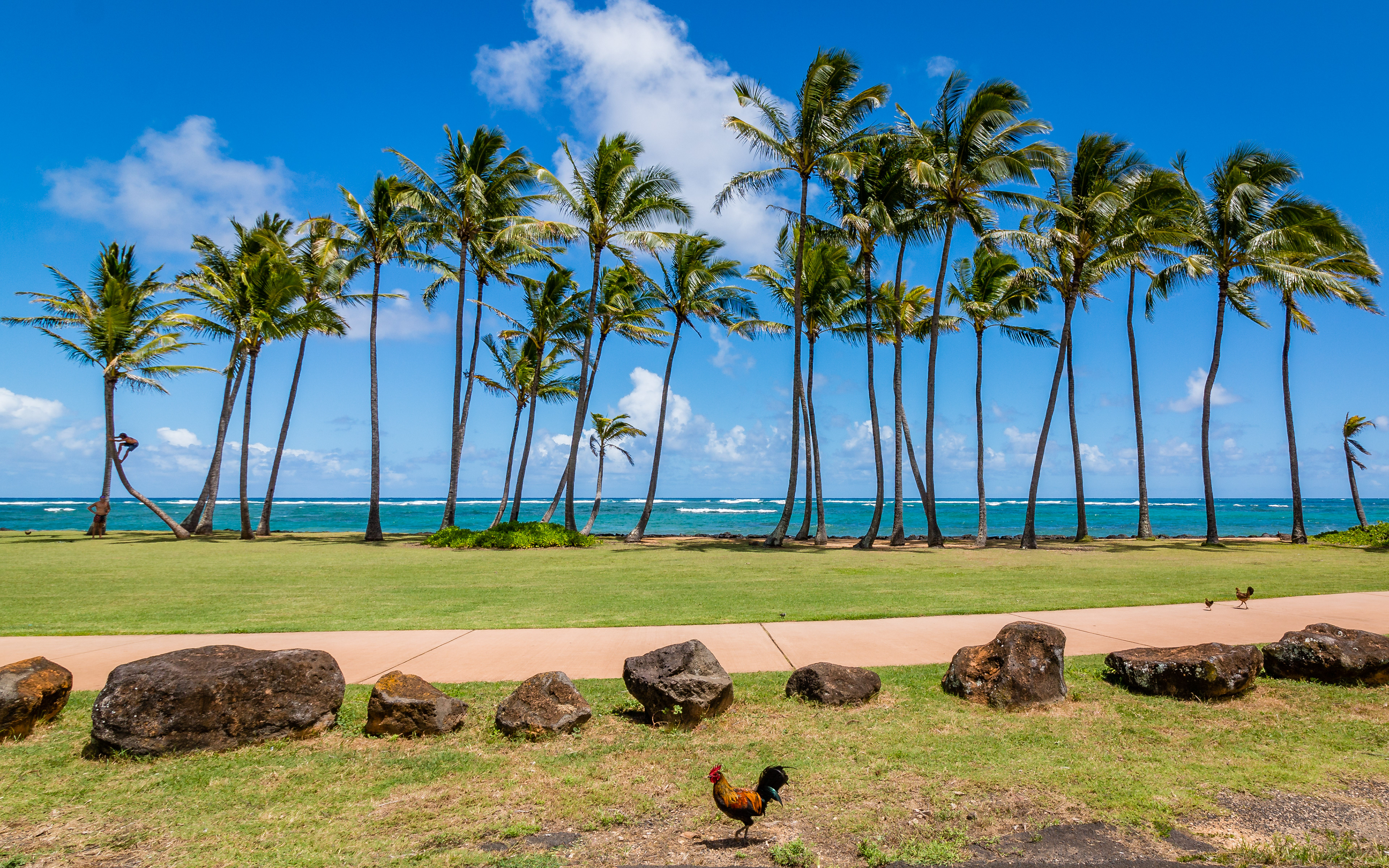 Kauai