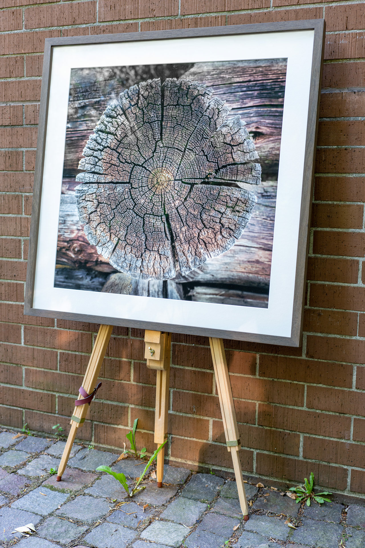 (80 x 80 cm)