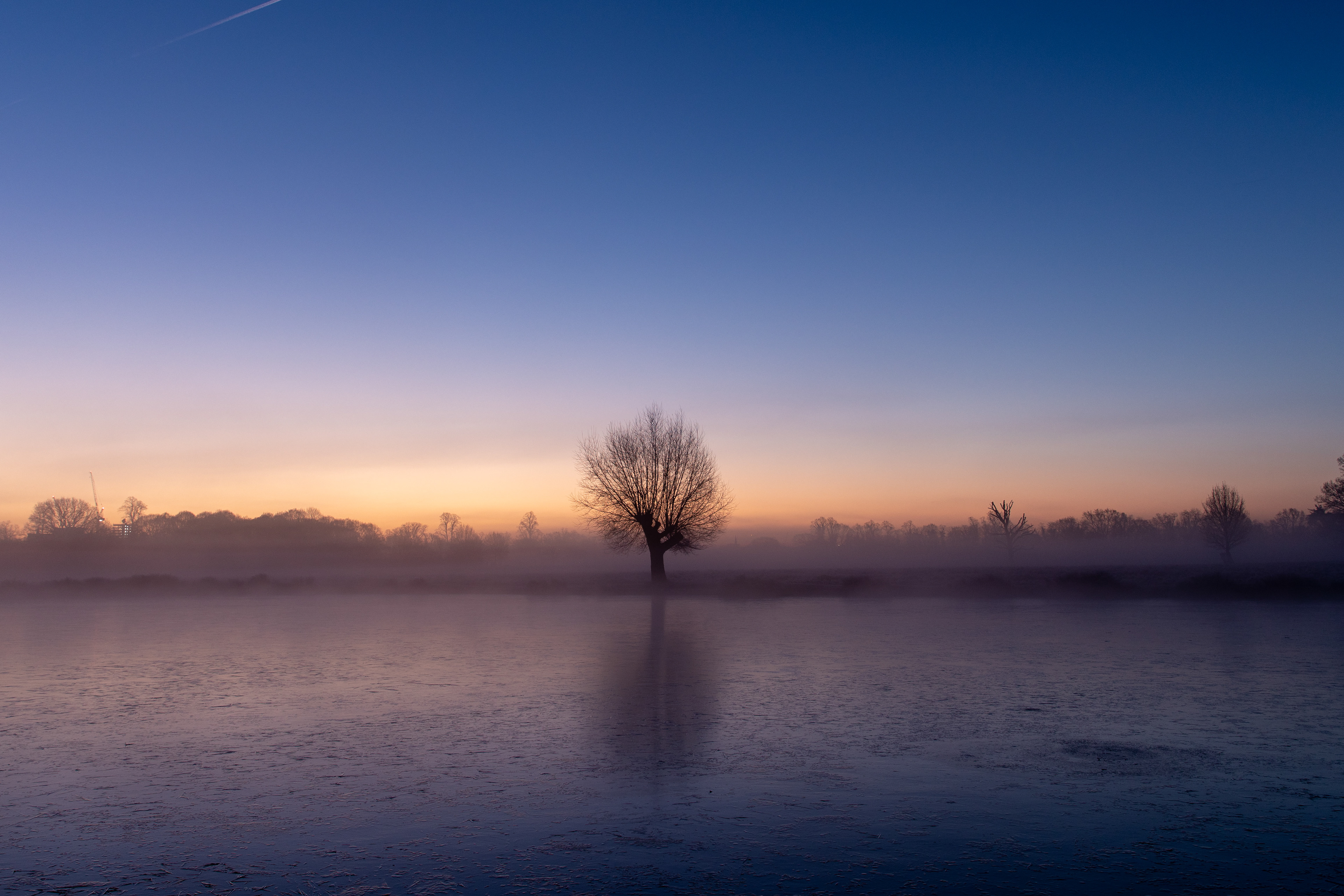 Bushy Park 2