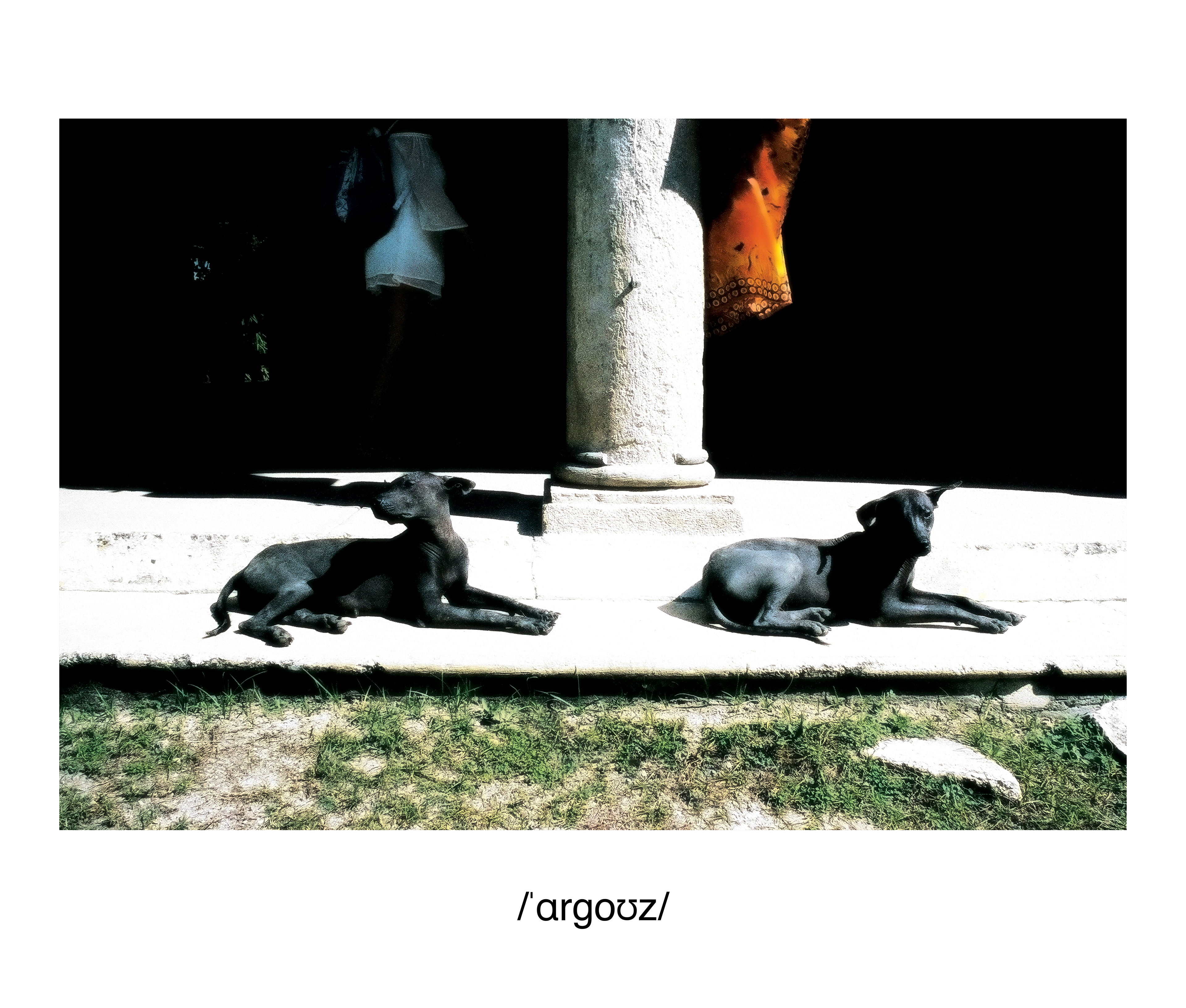 Argos, Cozumel, Mexico 2018 Archival D-Prints, printed 2020, Edition of 5