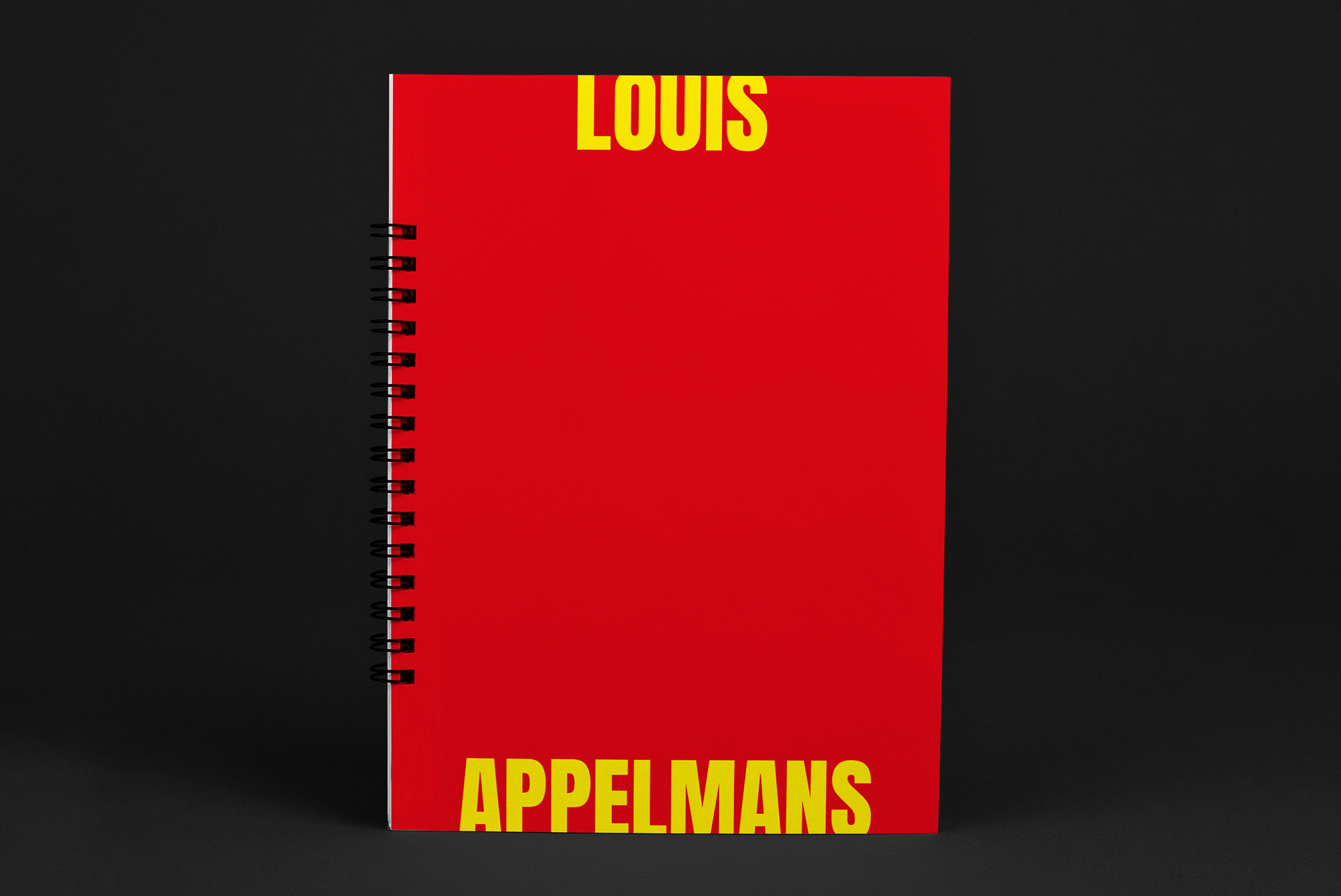 Invisible disabilities thesis 02 picture