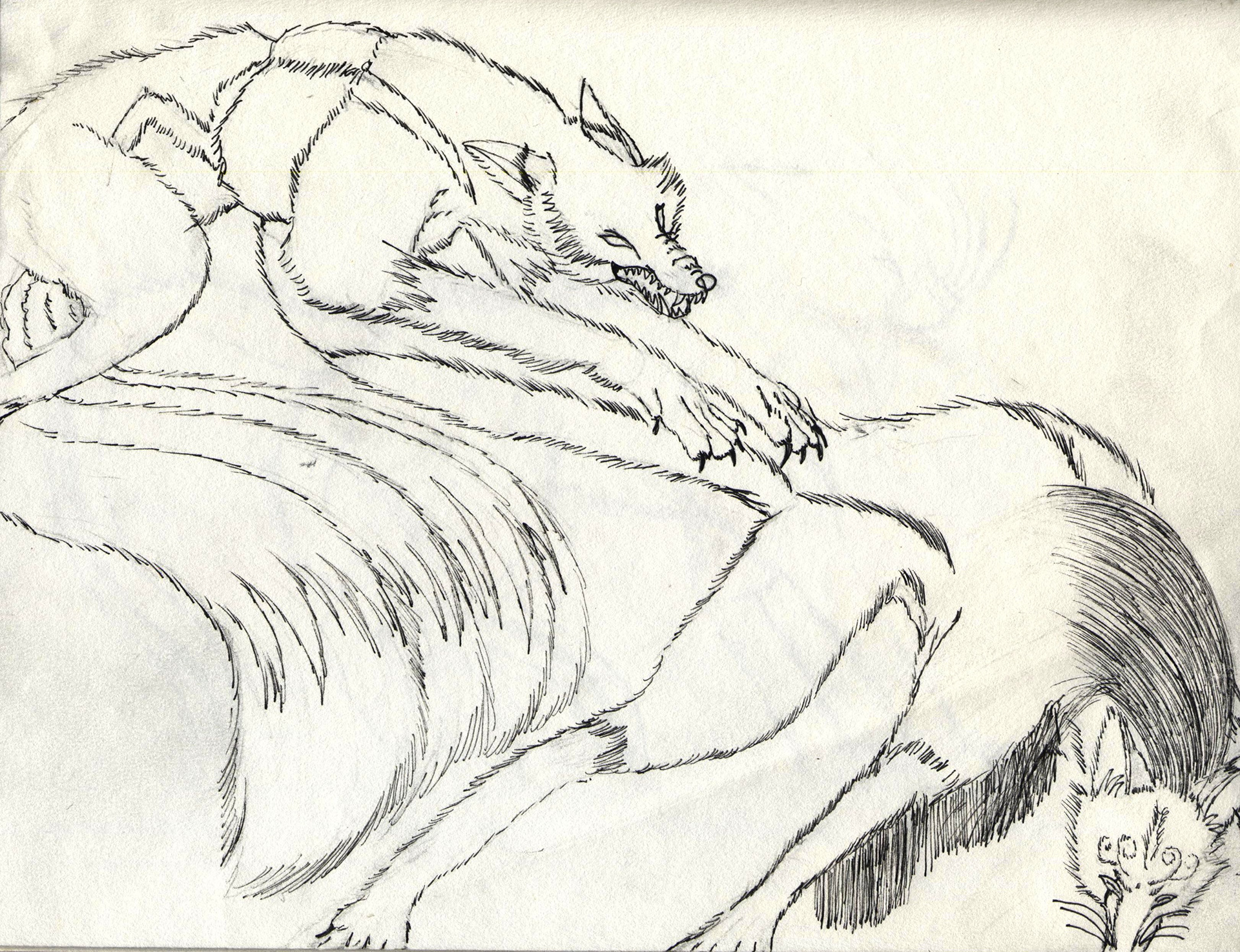 Rakurai vs Shintaro Cursed Form