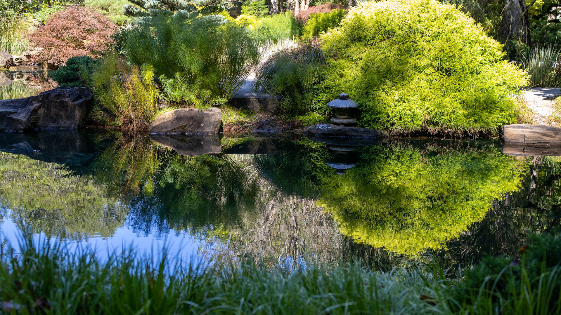 Reflected