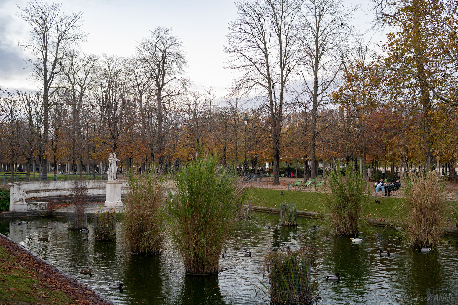 Jardin des Tuilleries