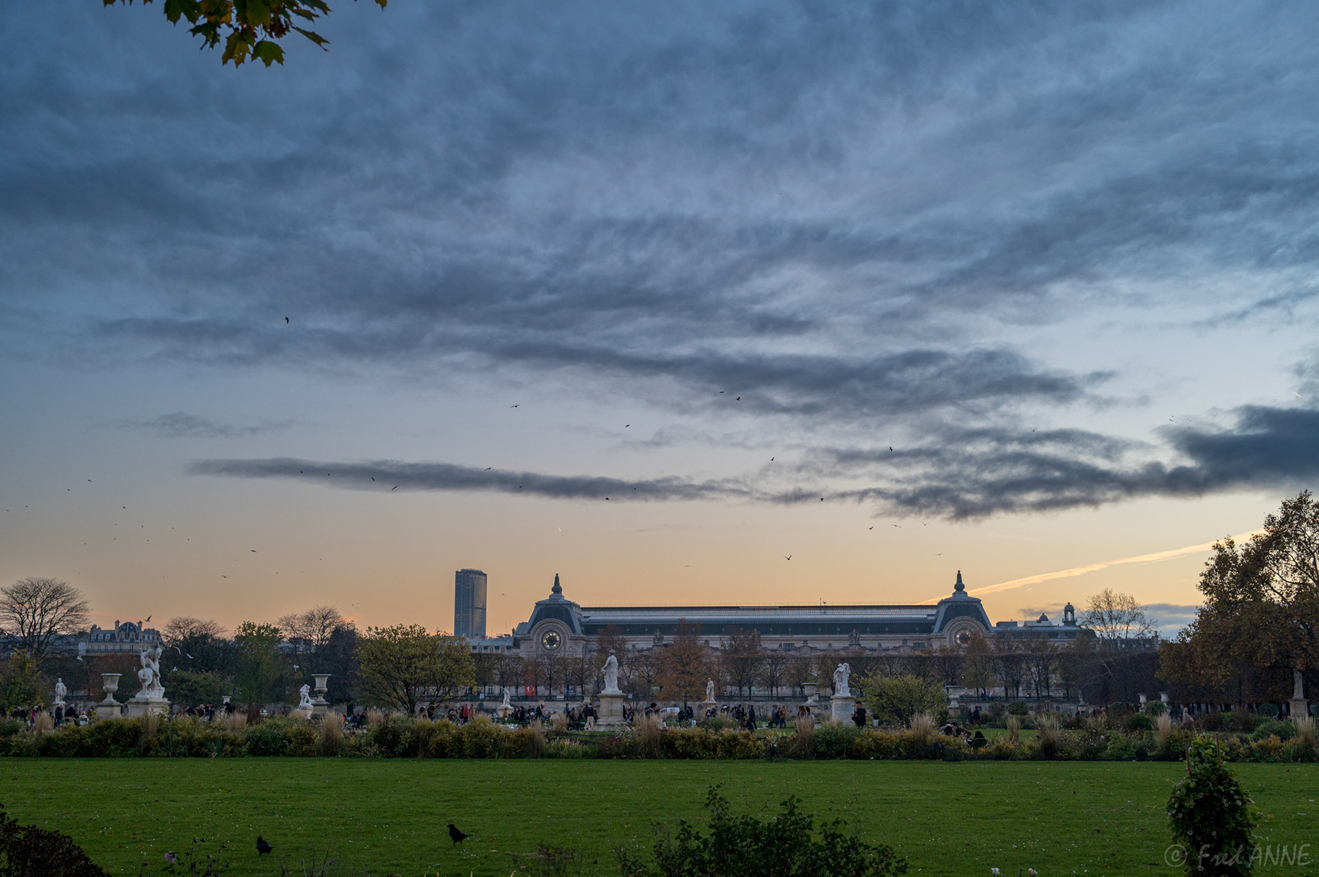 Jardin des Tuilleries
