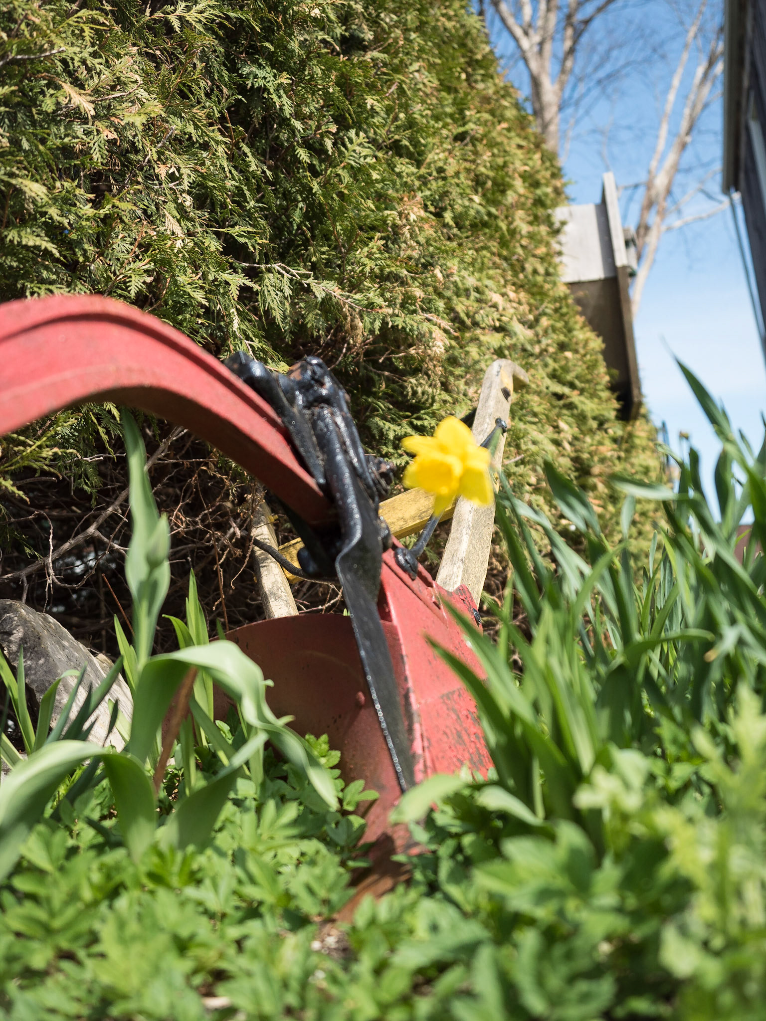 OLYMPUS DIGITAL CAMERA