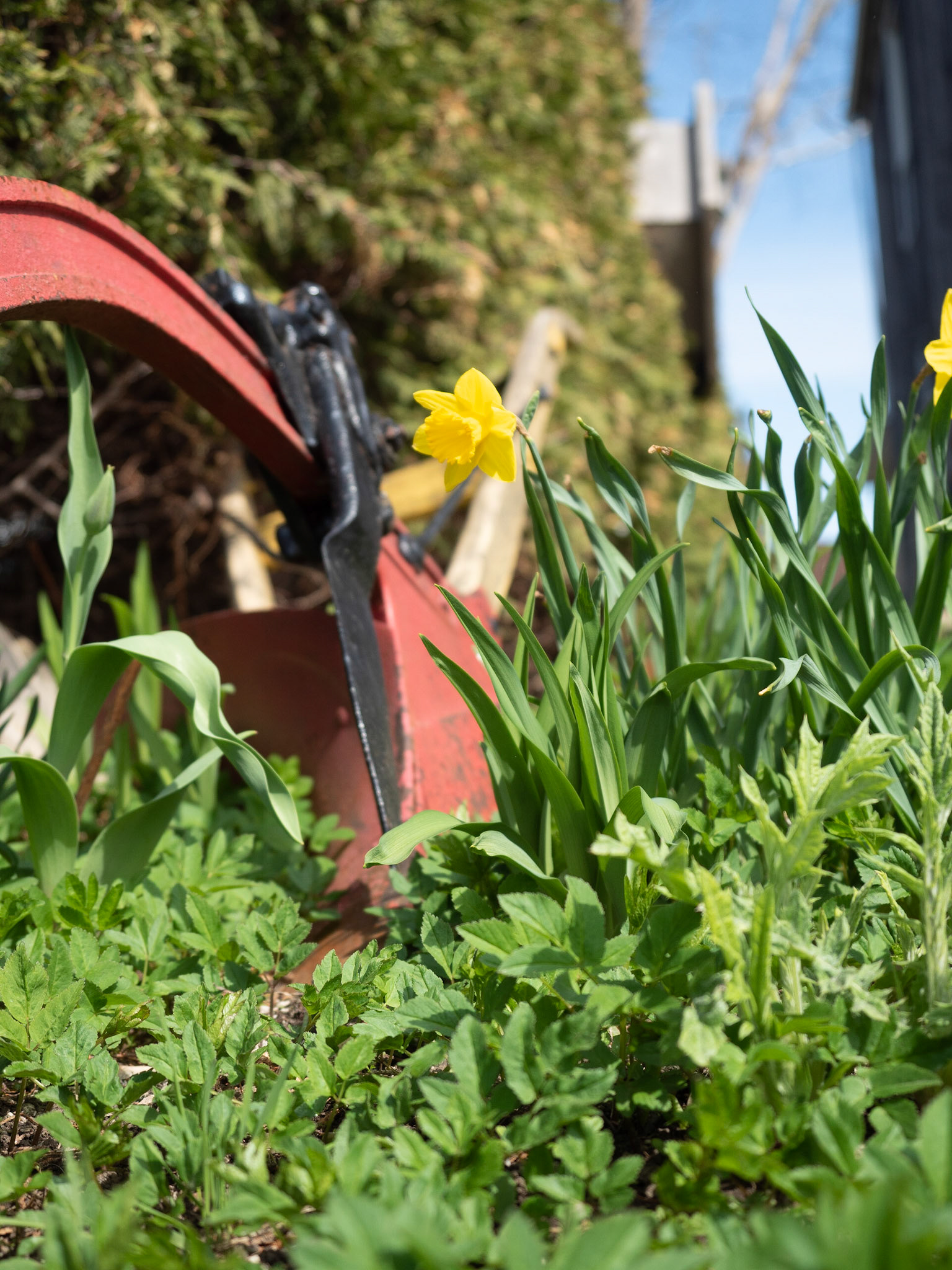 OLYMPUS DIGITAL CAMERA