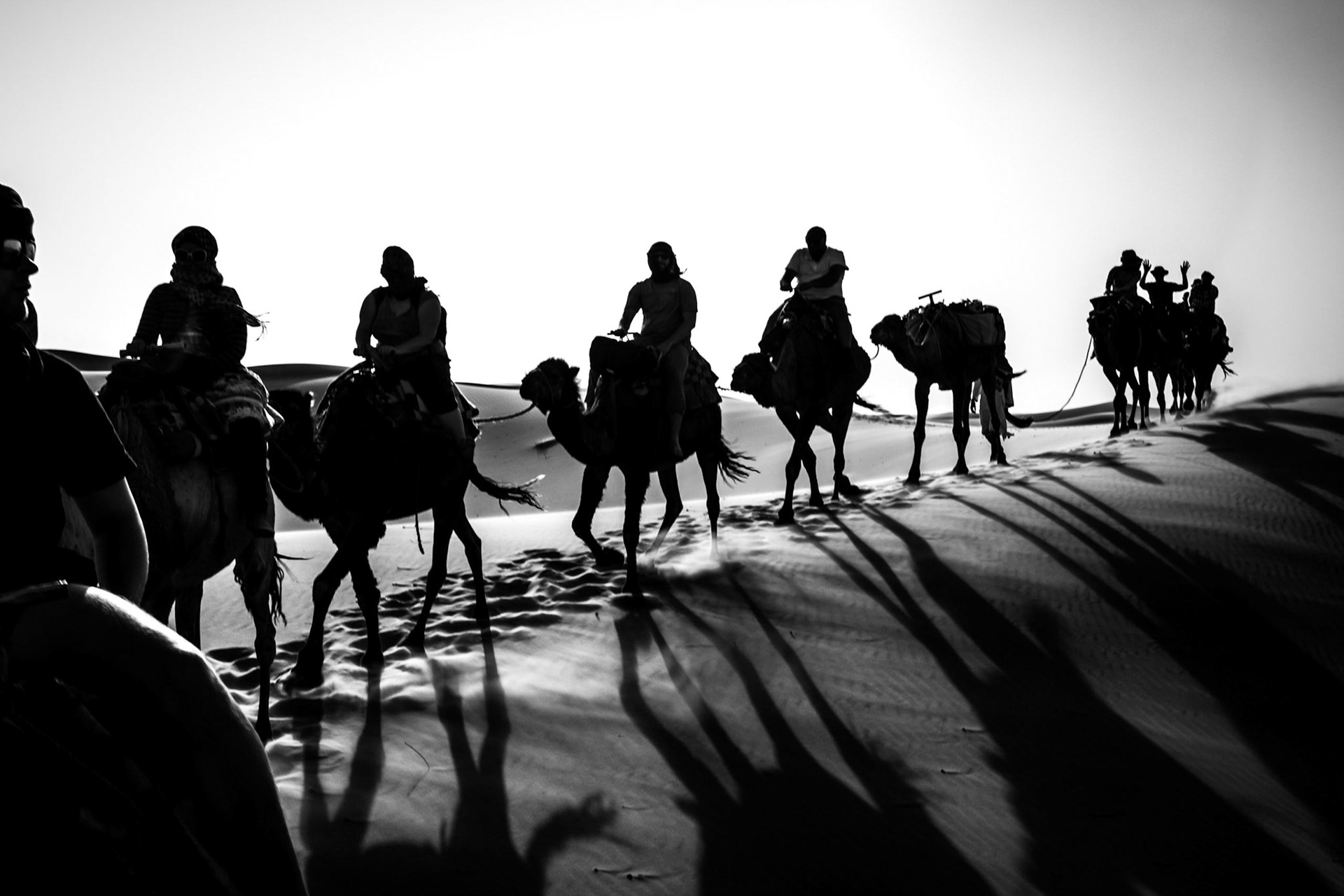 Camel Train