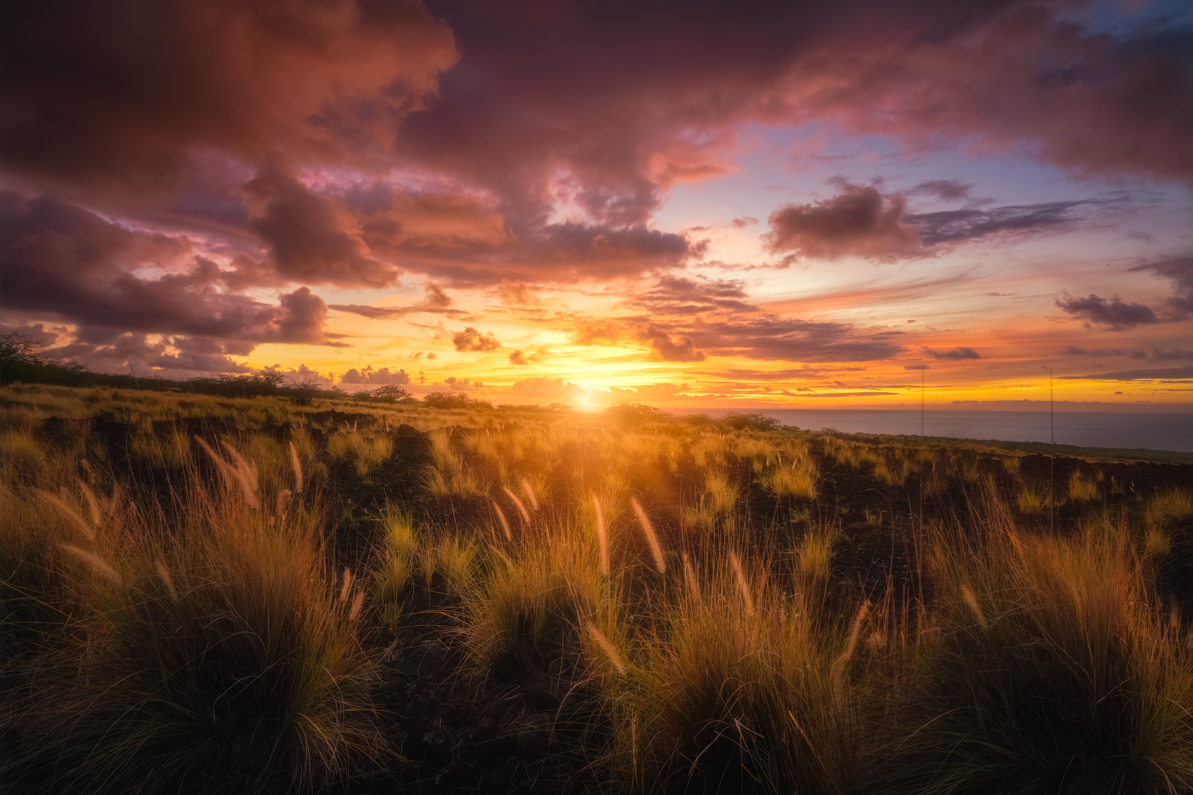 Big Island