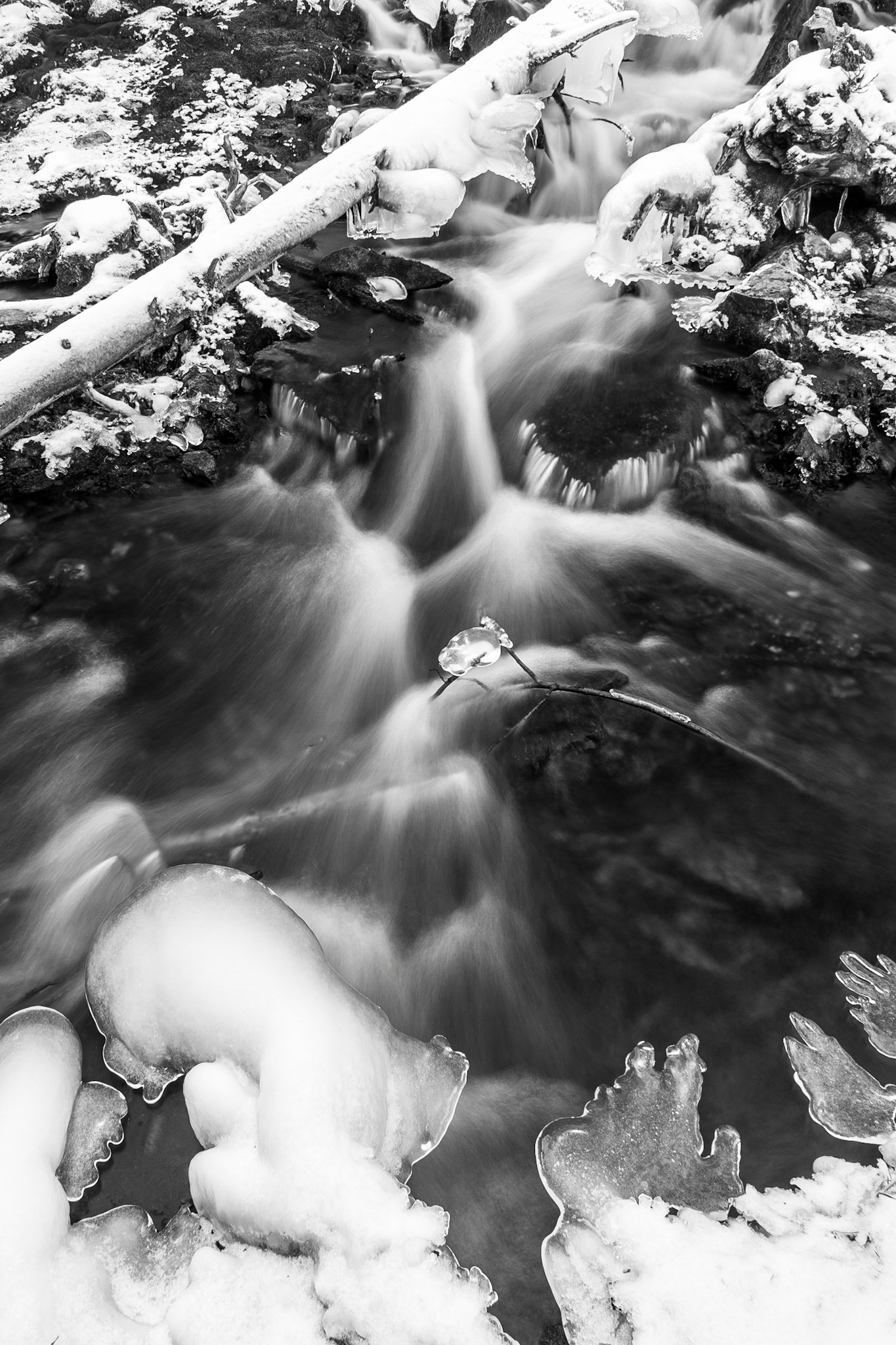 Grassi Lakes Outflow
