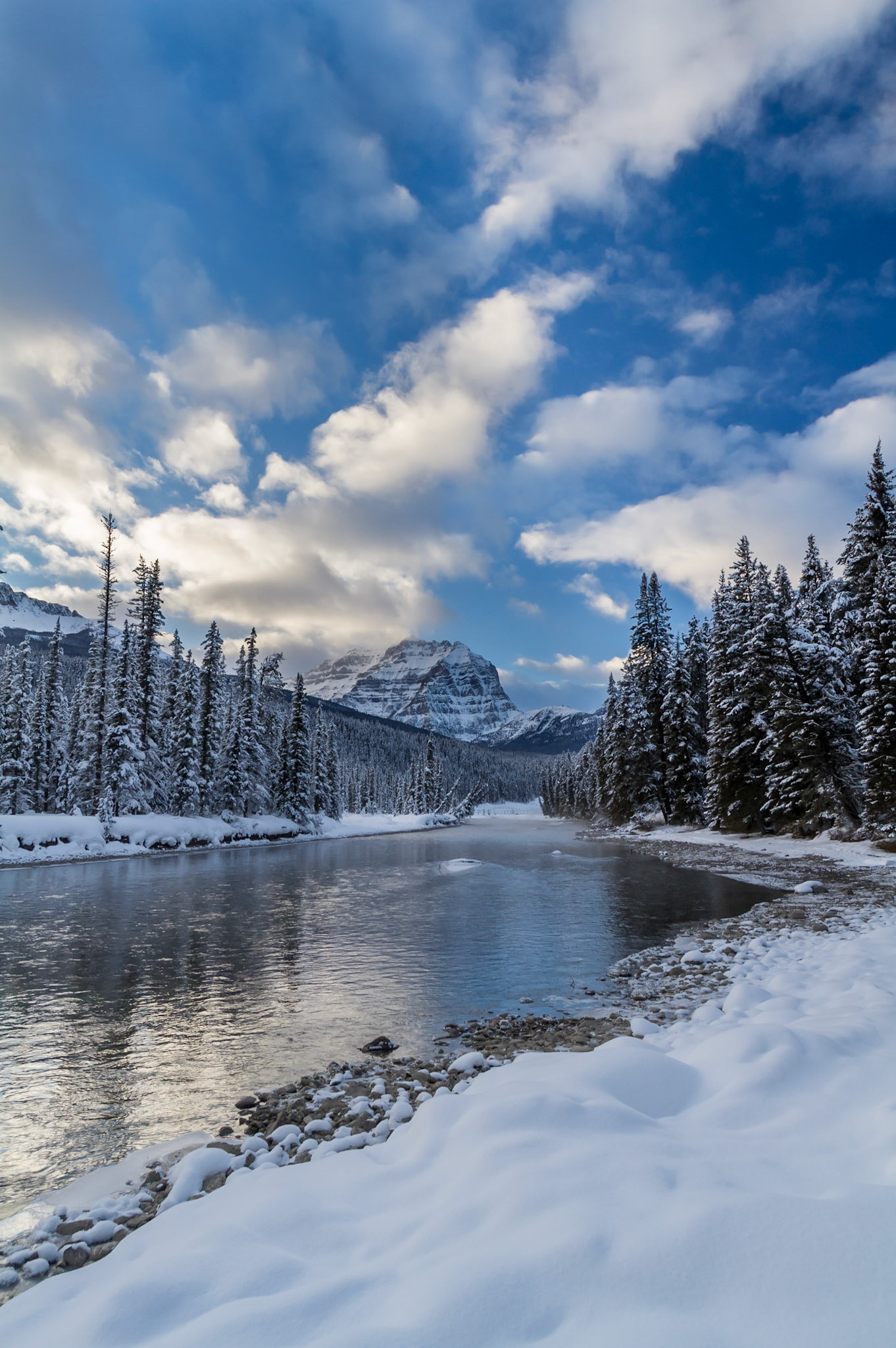 Bow River and View of Mt Temple