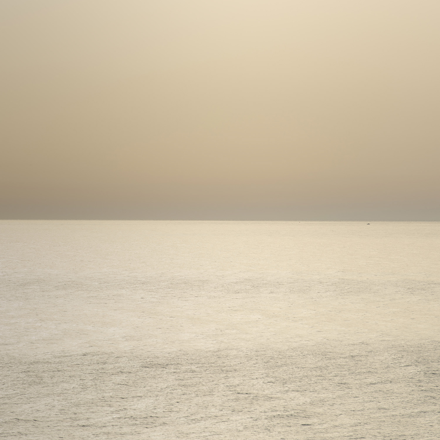 Horizon 1 E Format L 0.50 m x H 0.50 m Été 2016