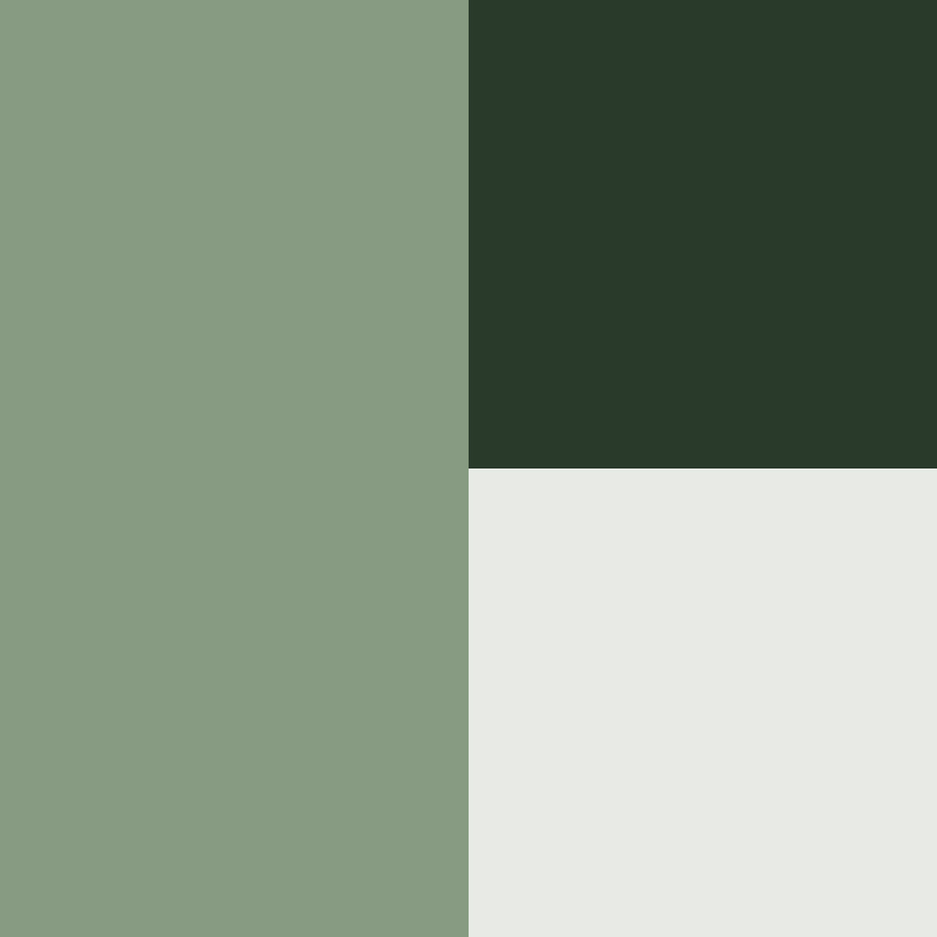 Colour Palette