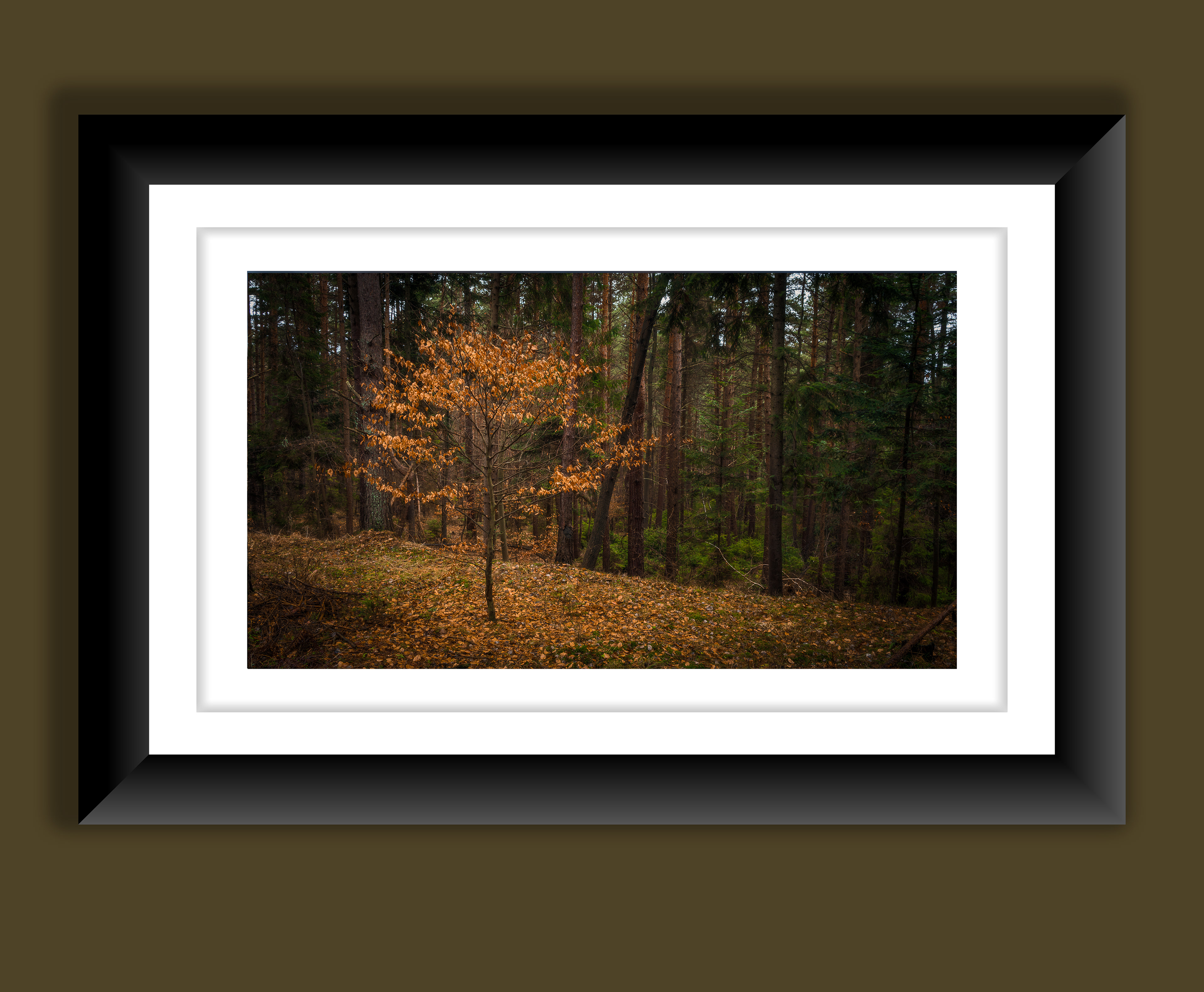 A beautiful fine art print of a lone autumnal tree.