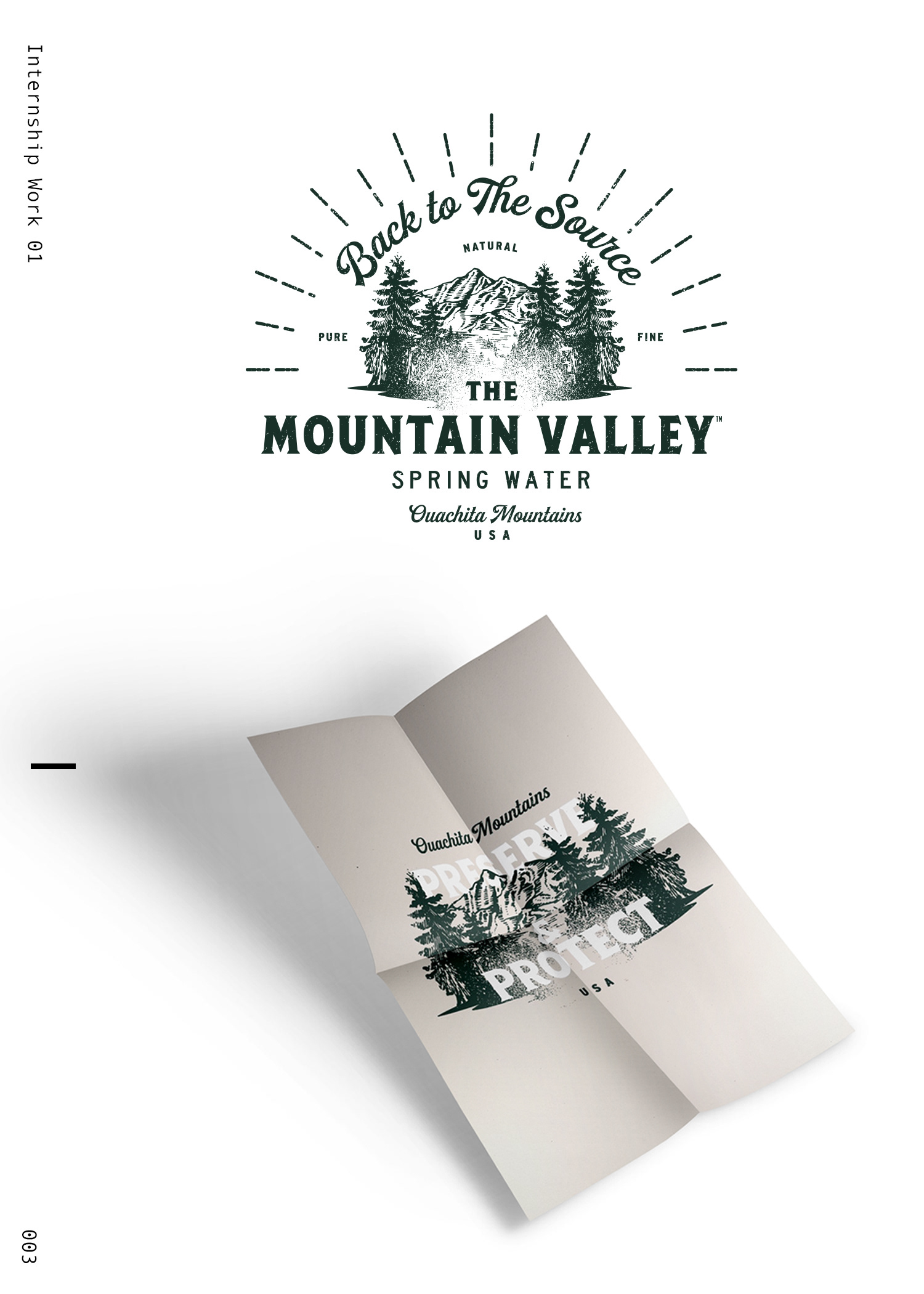 Caroline Tanner Mountain Valley Water Spring Work