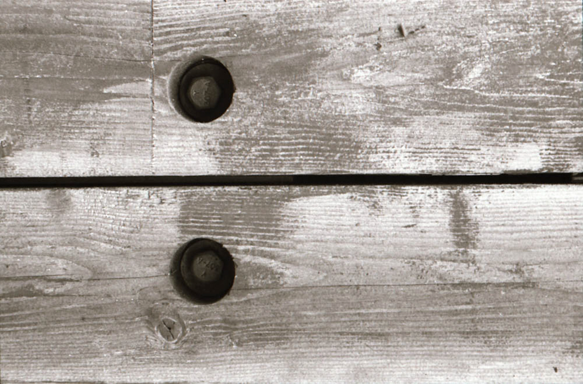 2020 35mm Film Photograph