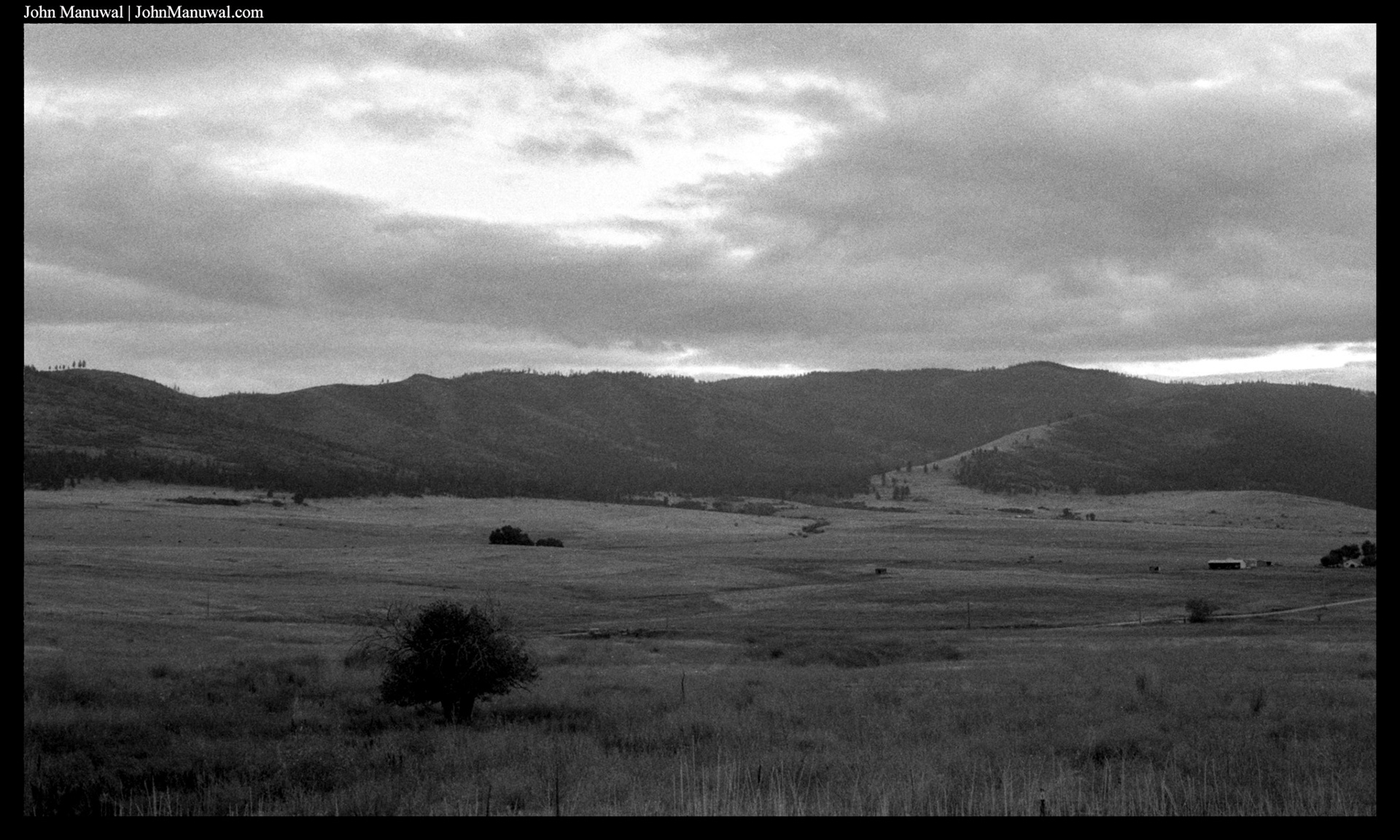 2020 35mm Film Photograph