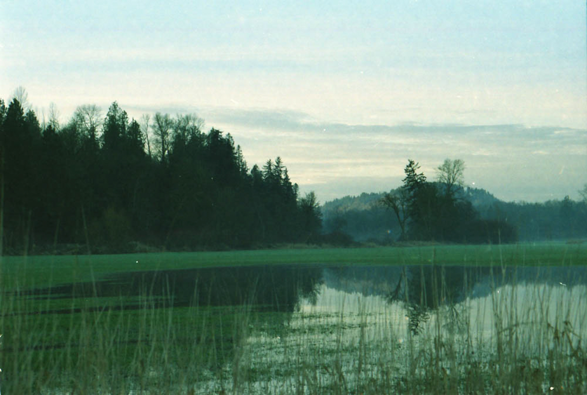 2017 Digital Photograph