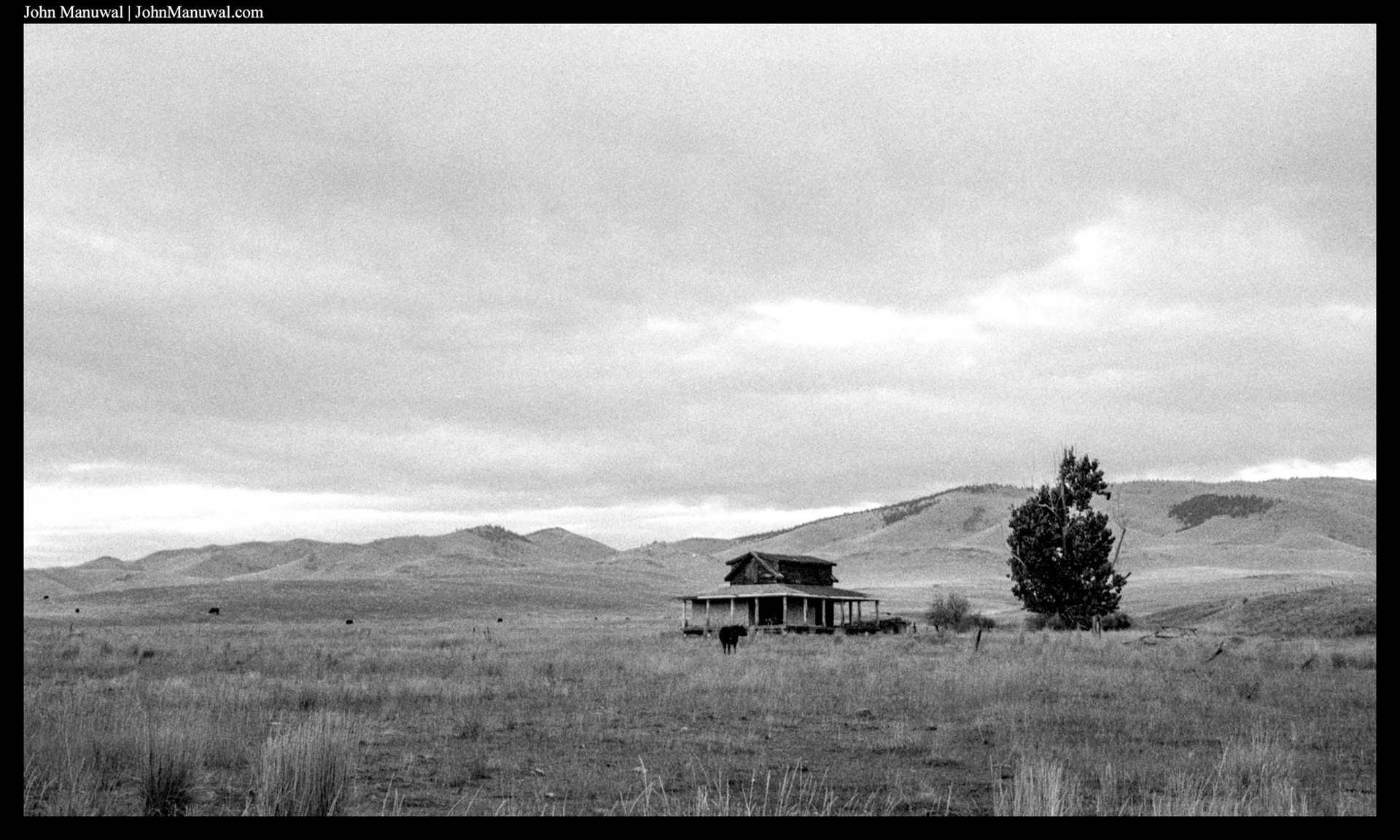 2020 35mm Film Photograph