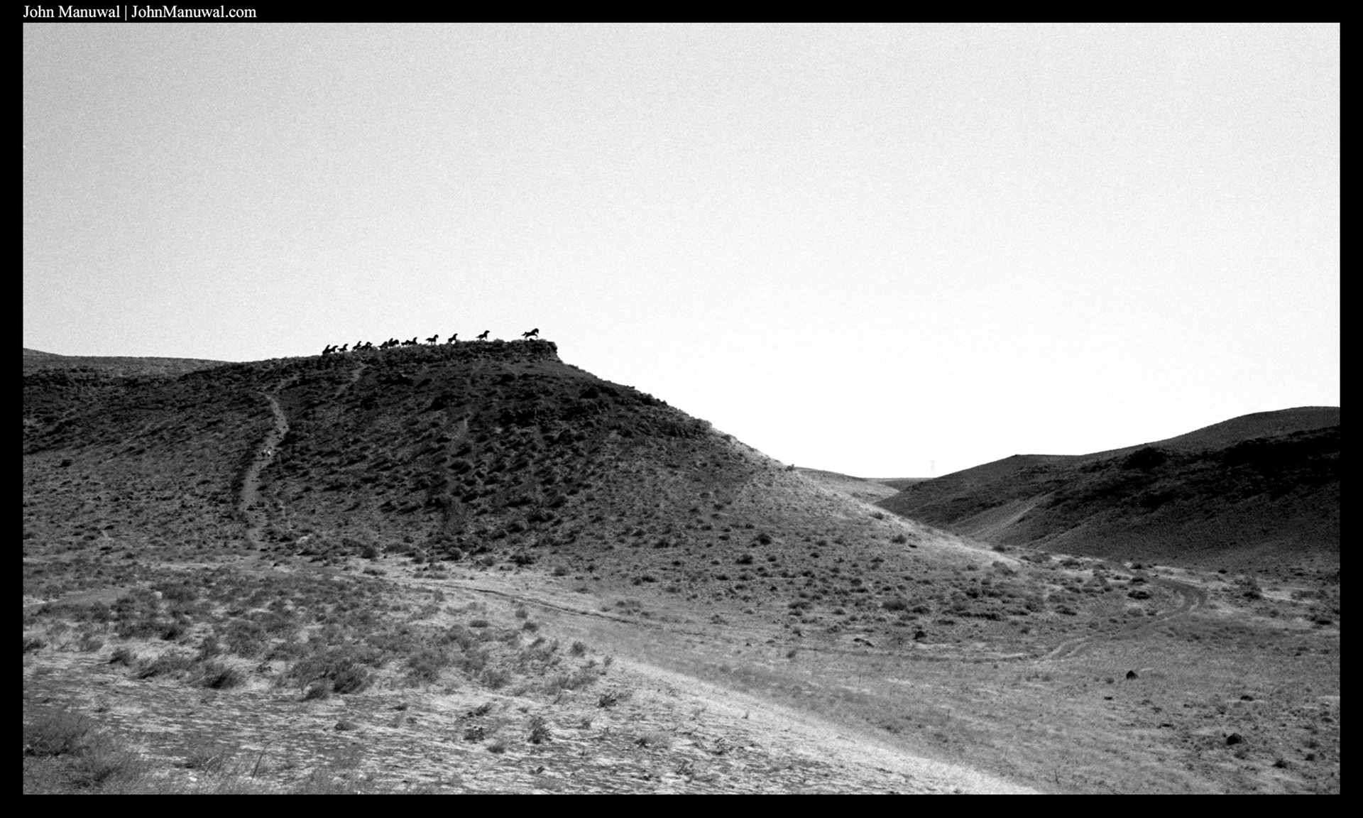 2021 35mm Film Photograph