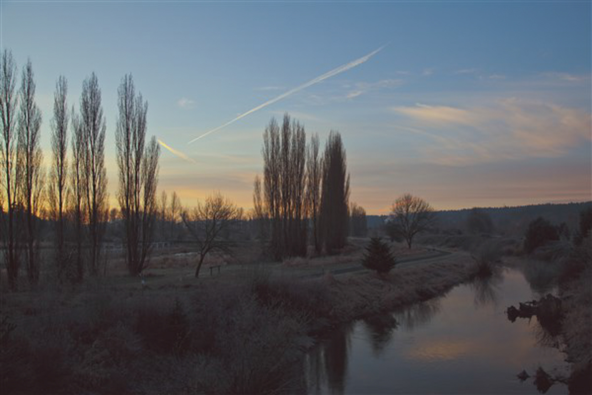 2017 Digital Photograph