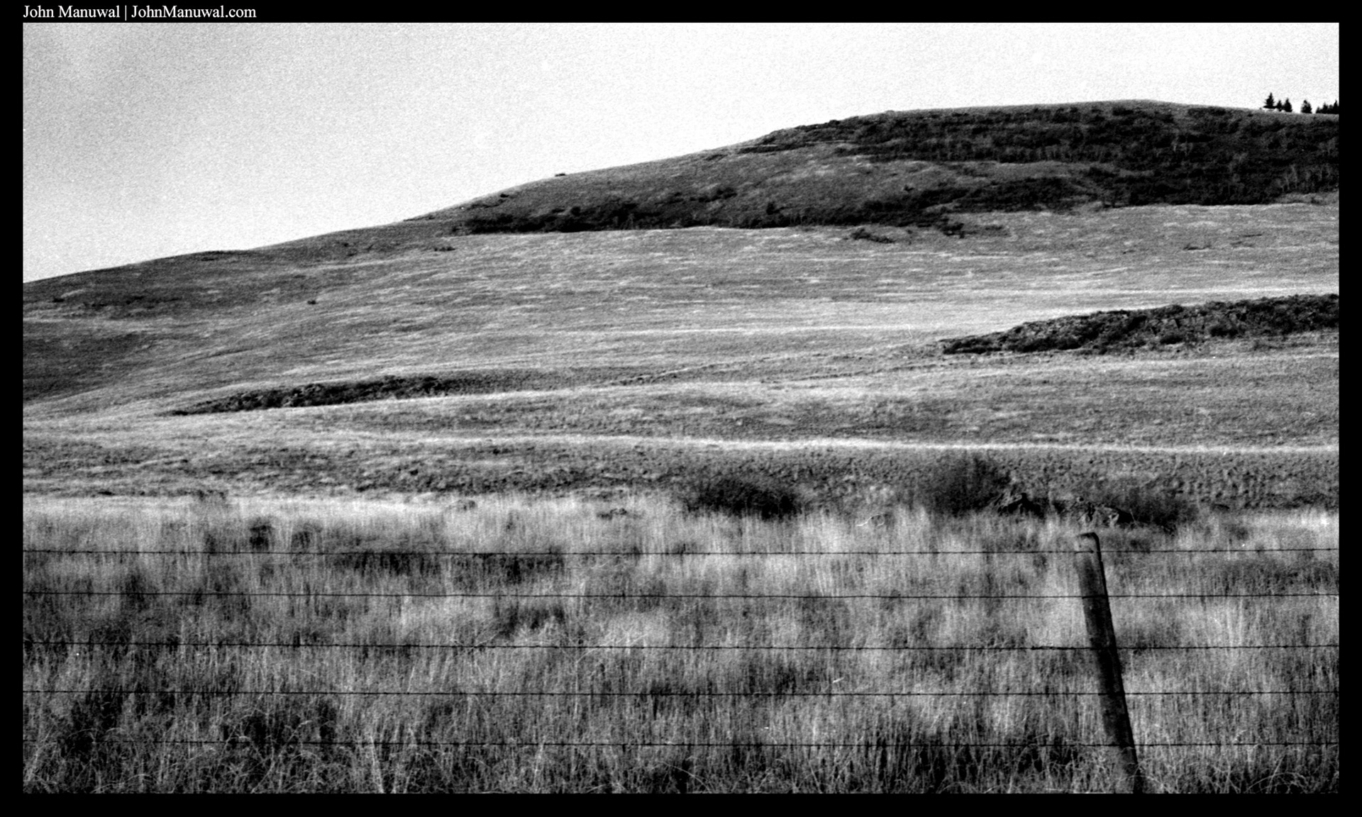 2021 35mm Film Photograph