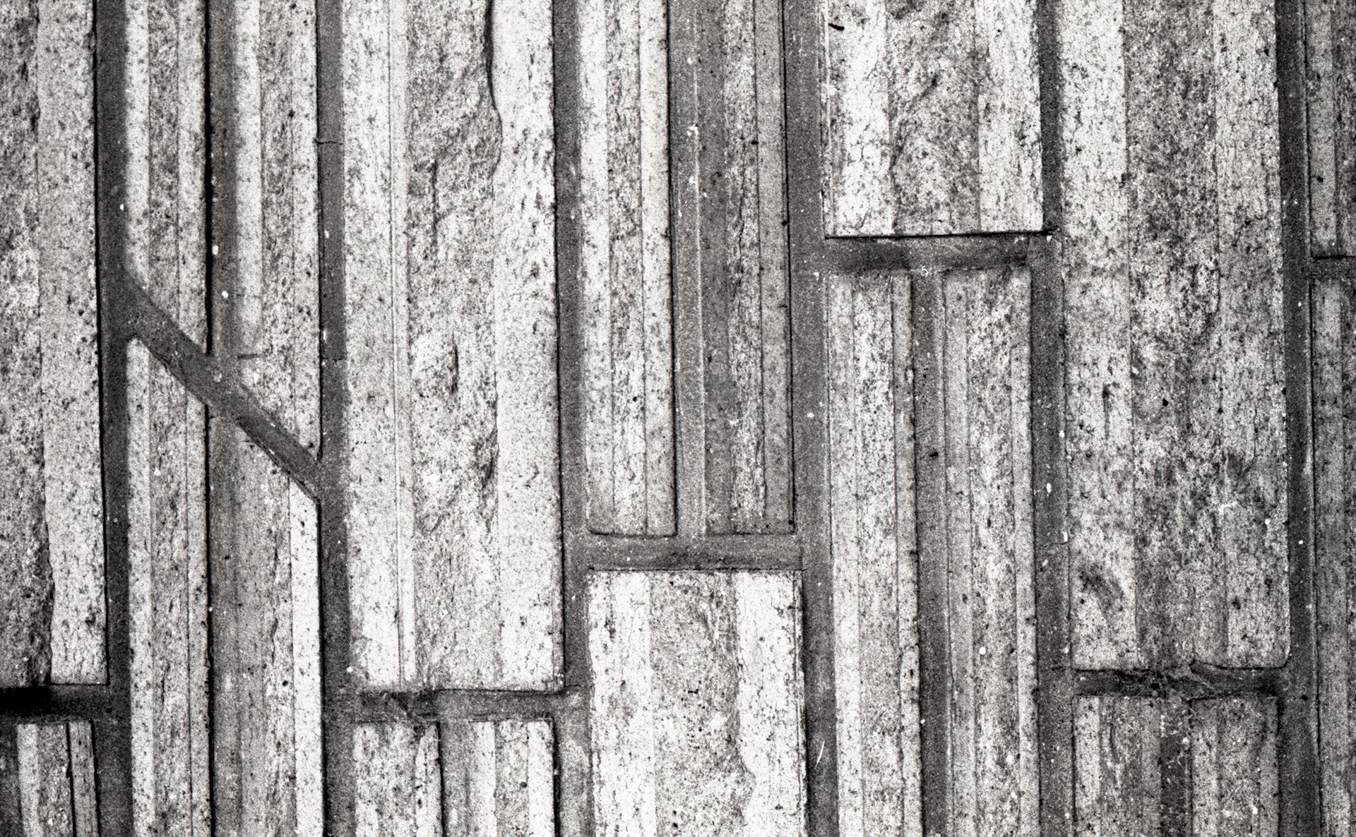 2020 35mm Film Photograph