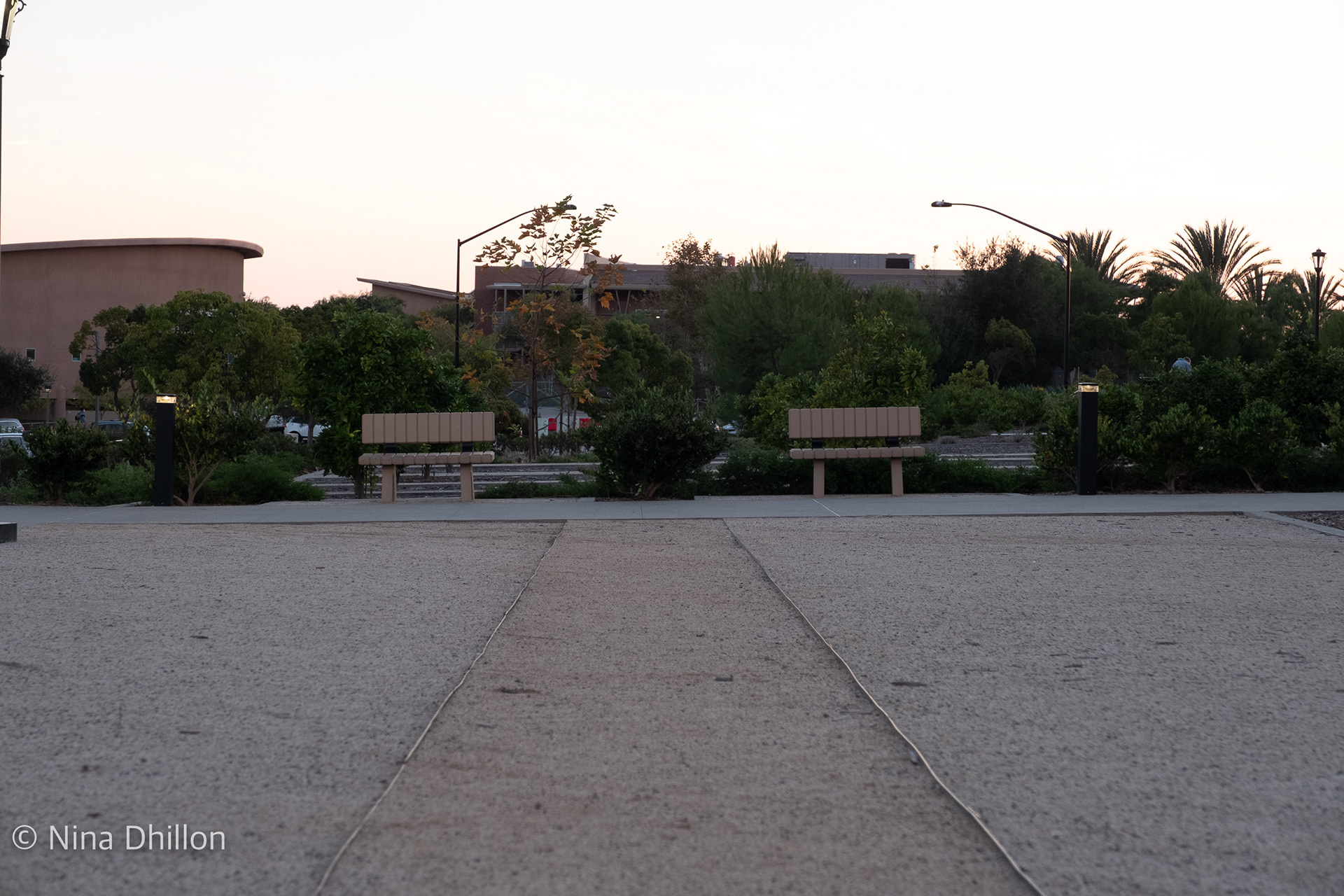 SYMMETRY: October 20, 2021 Pacific Highlands, San Diego. 1/60 Sec at f /5.6
