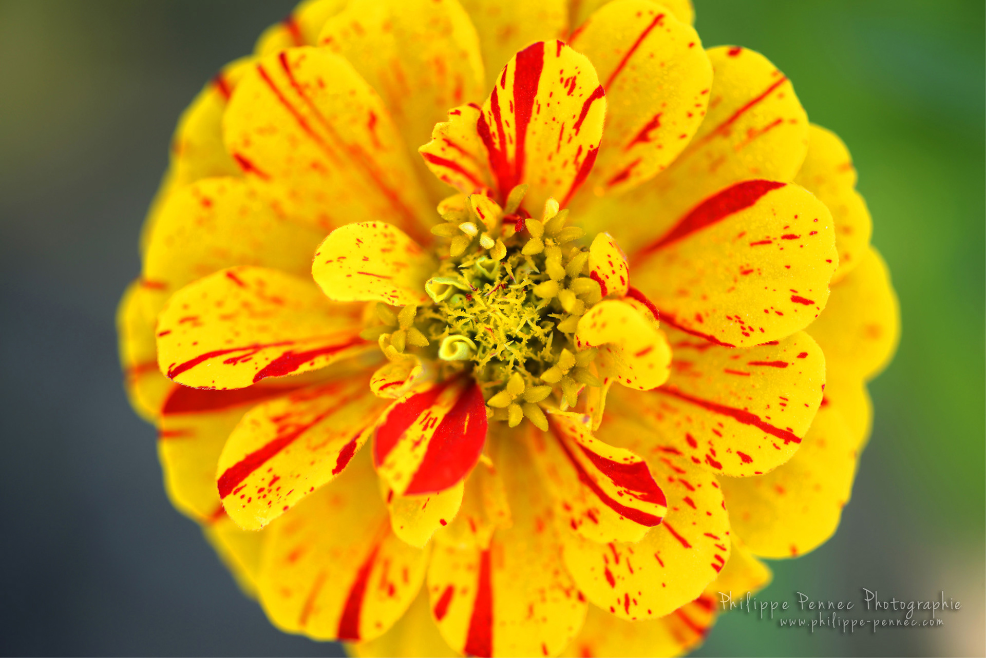 013HDR / 9 Juil 2018