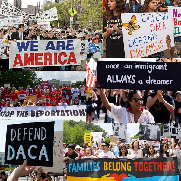 Shehara Ranasinghe - Immigration Rights Movement