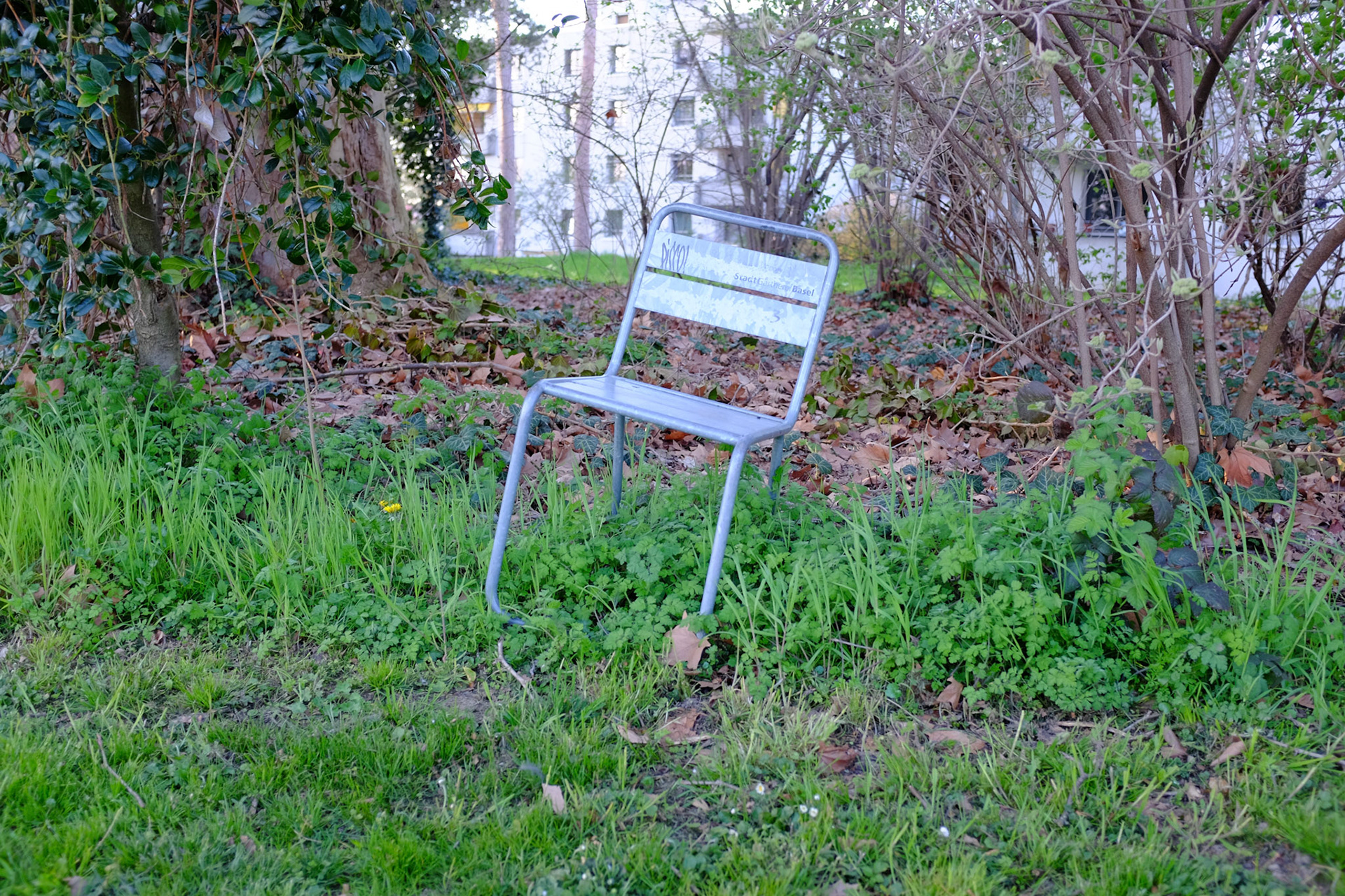 DSCF1212.JPG