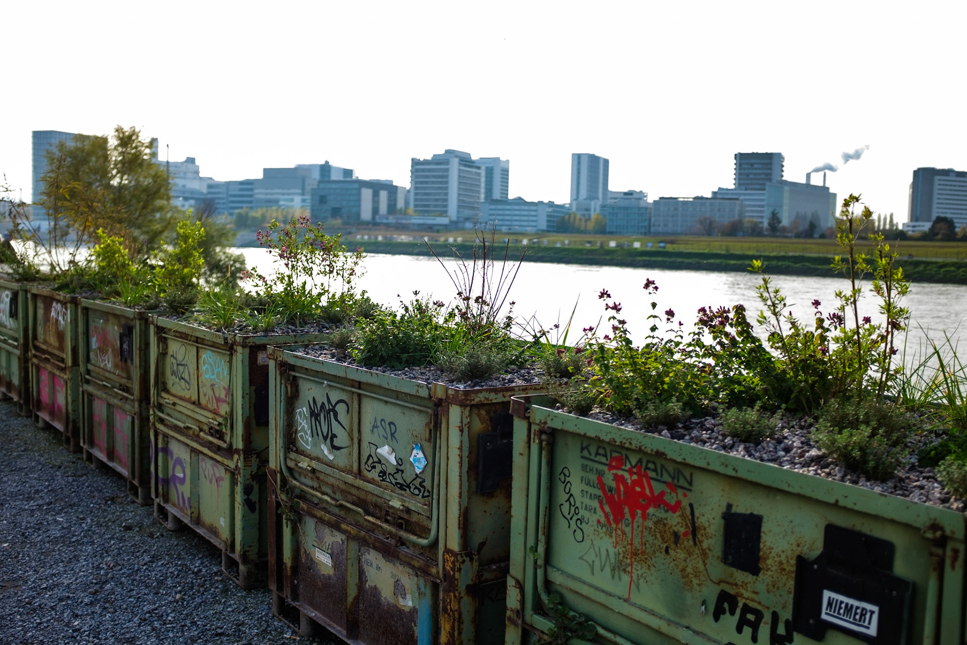 Urban Gardening