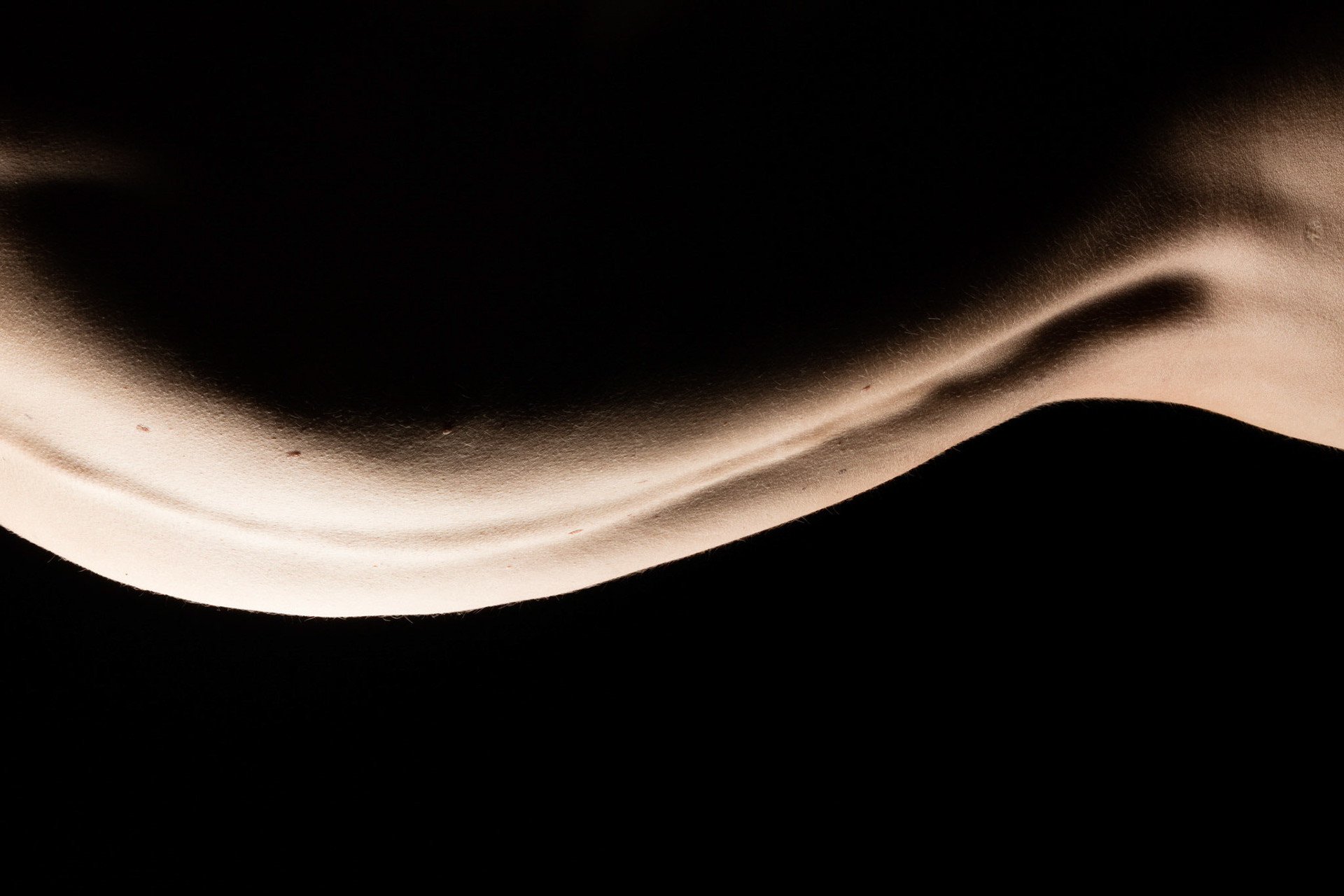 Spine