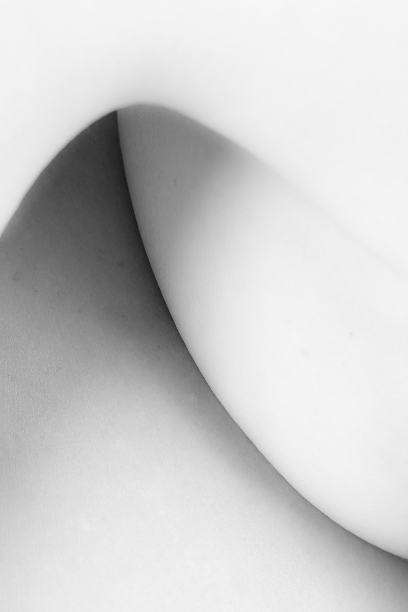 Flesh