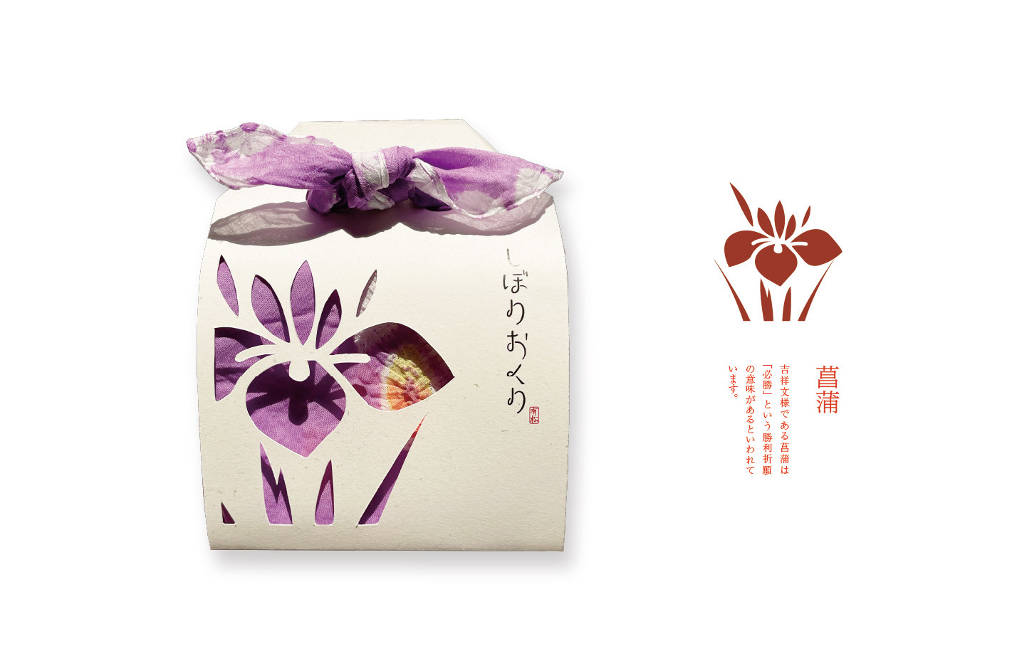河野 晴花 なごやvision