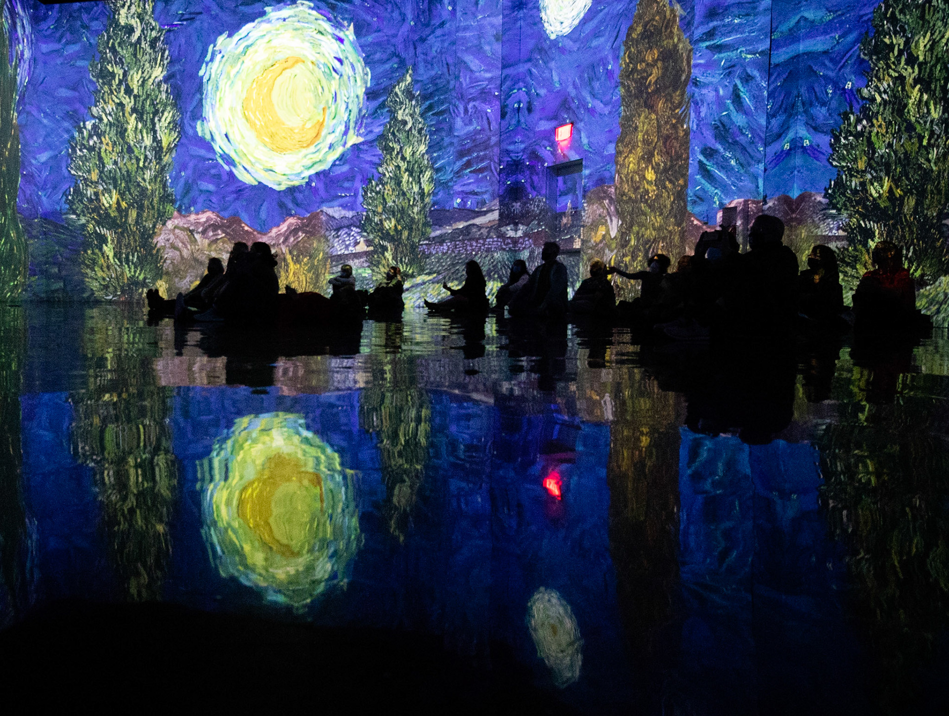 Experiencing Van Gogh in a new way