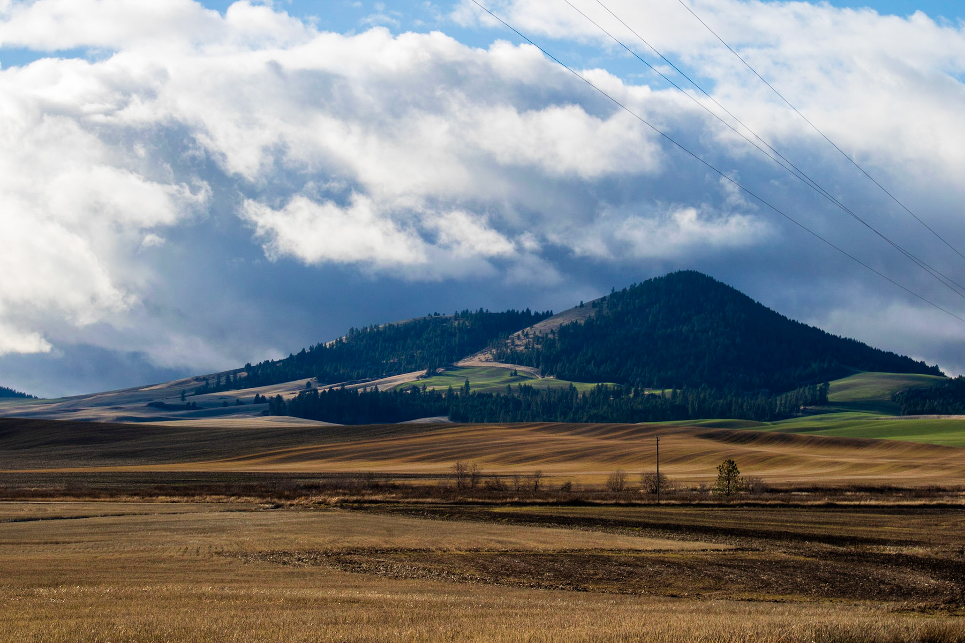 The 95 route to Moscow is gorgeous