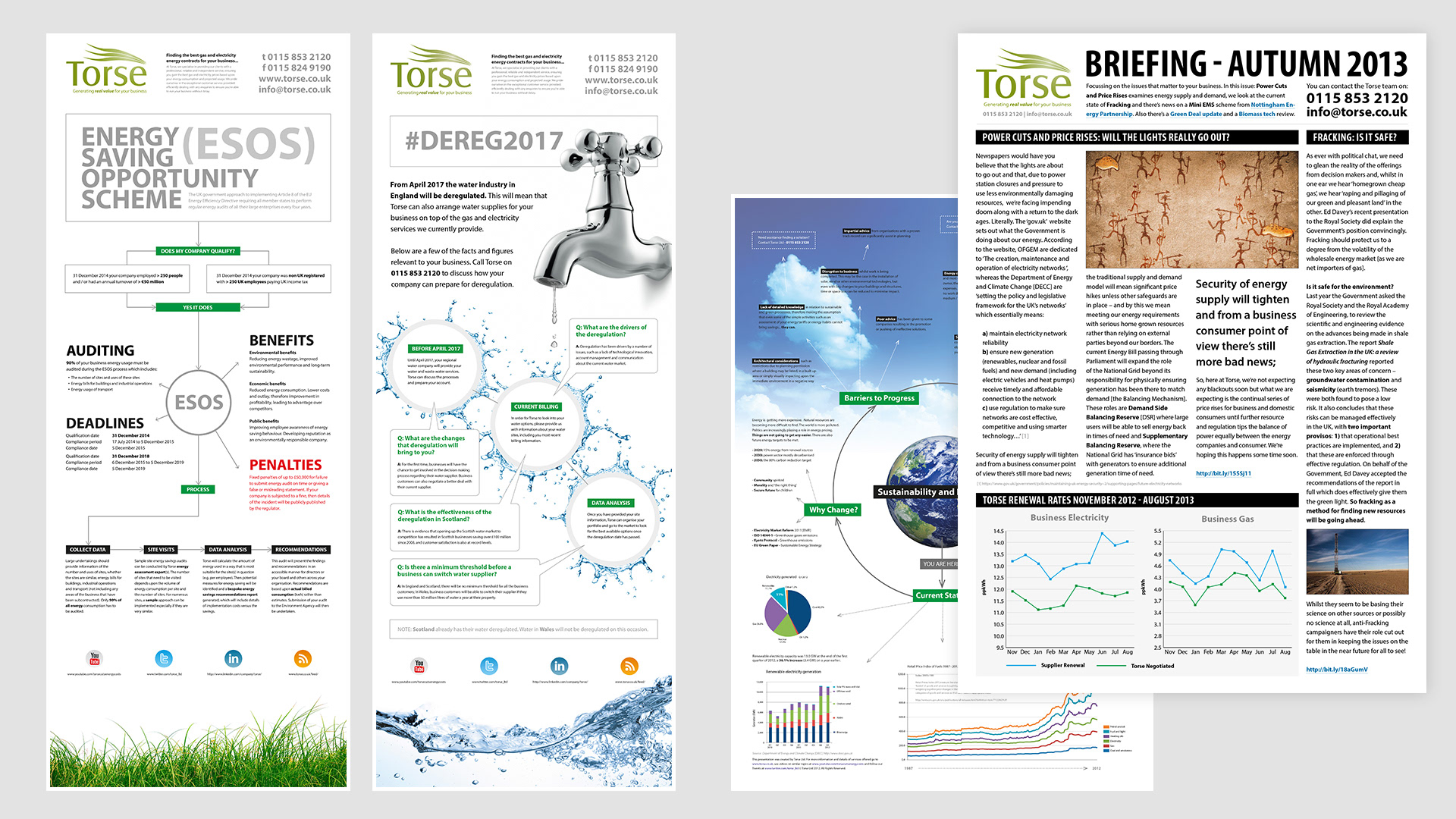 Banner and leaflet design for Torse Ltd