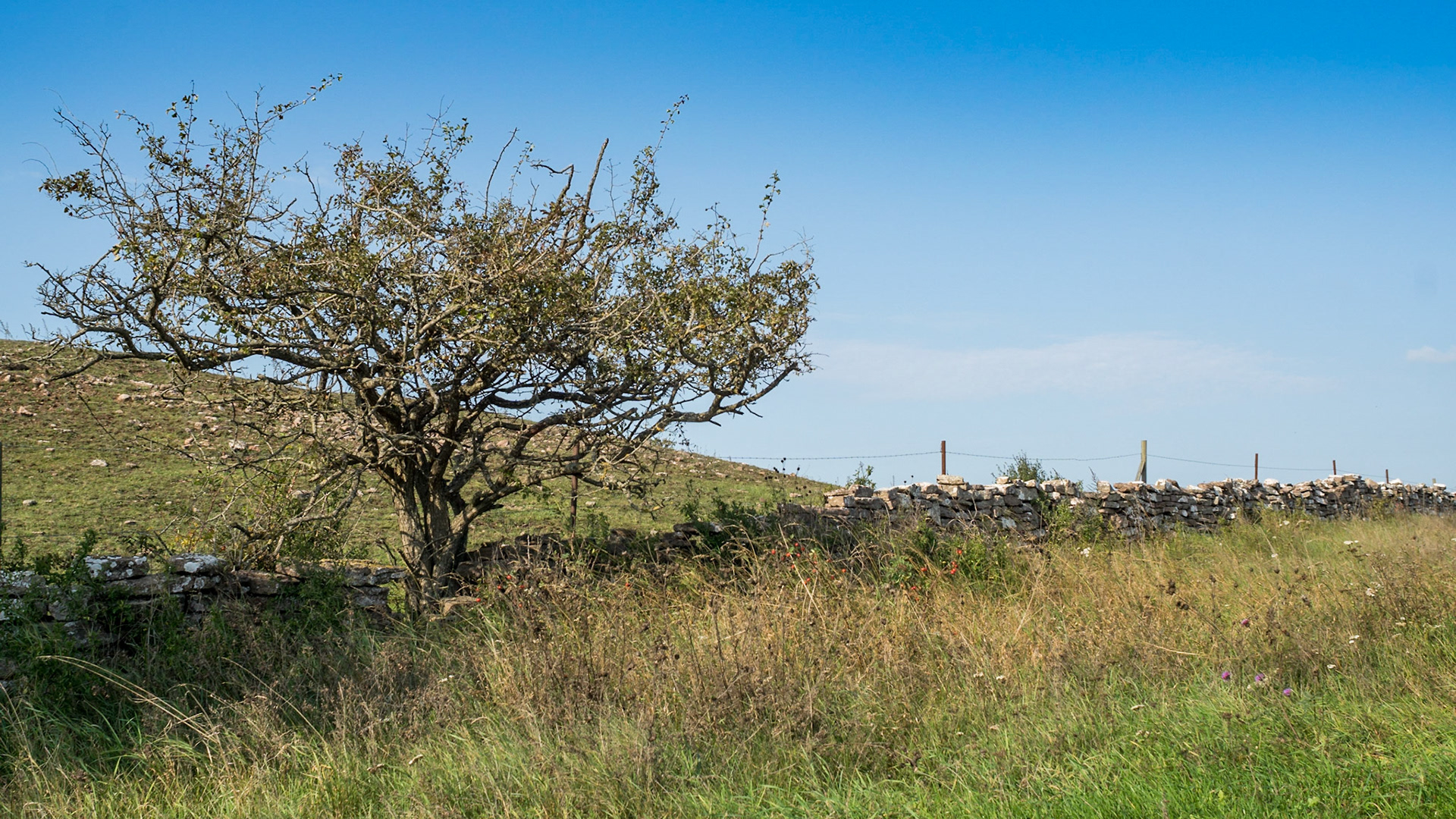 ISO 100 | 24 mm | f/8 | 1/250 s