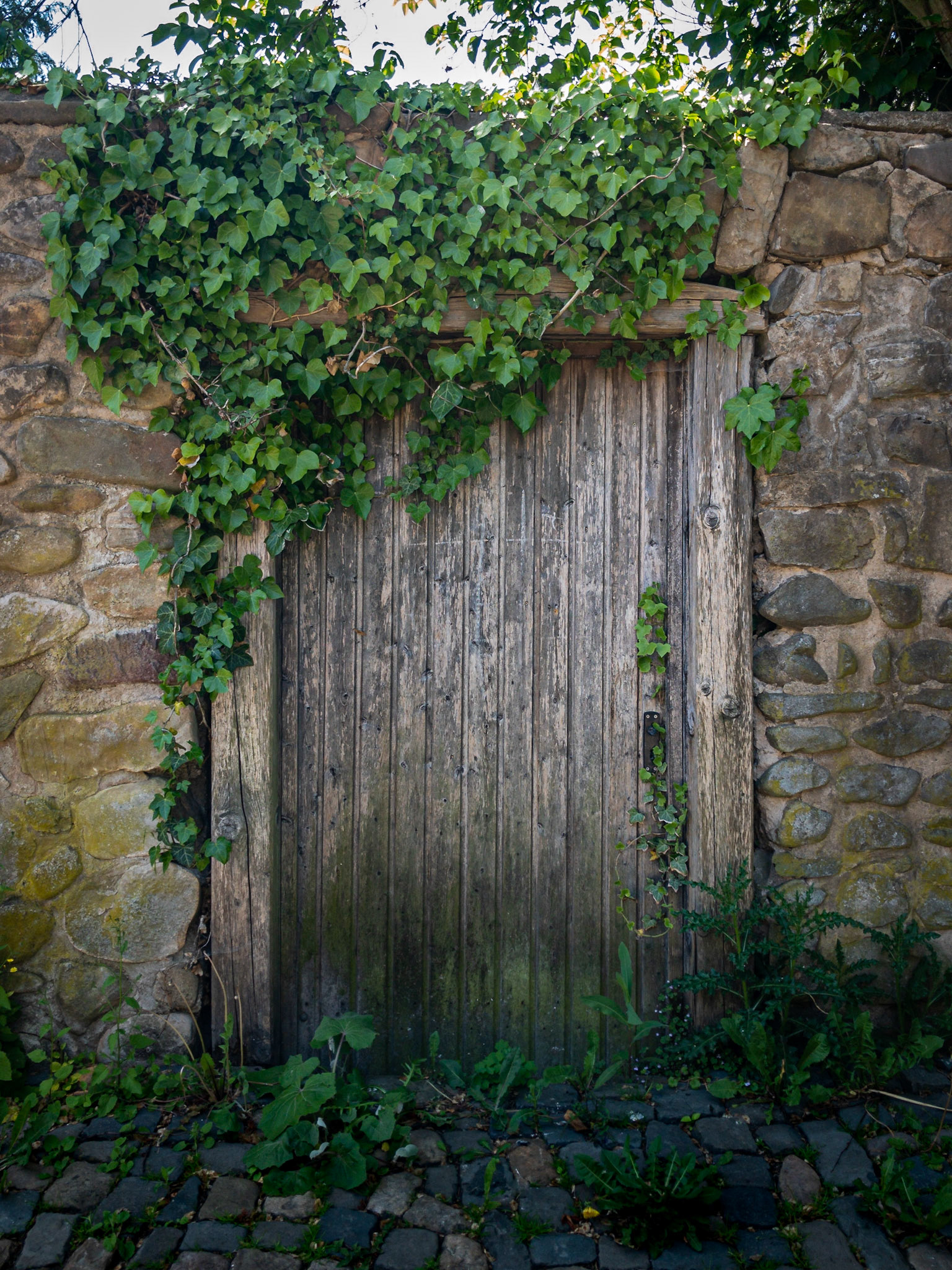 Tor in der Stadtmauer