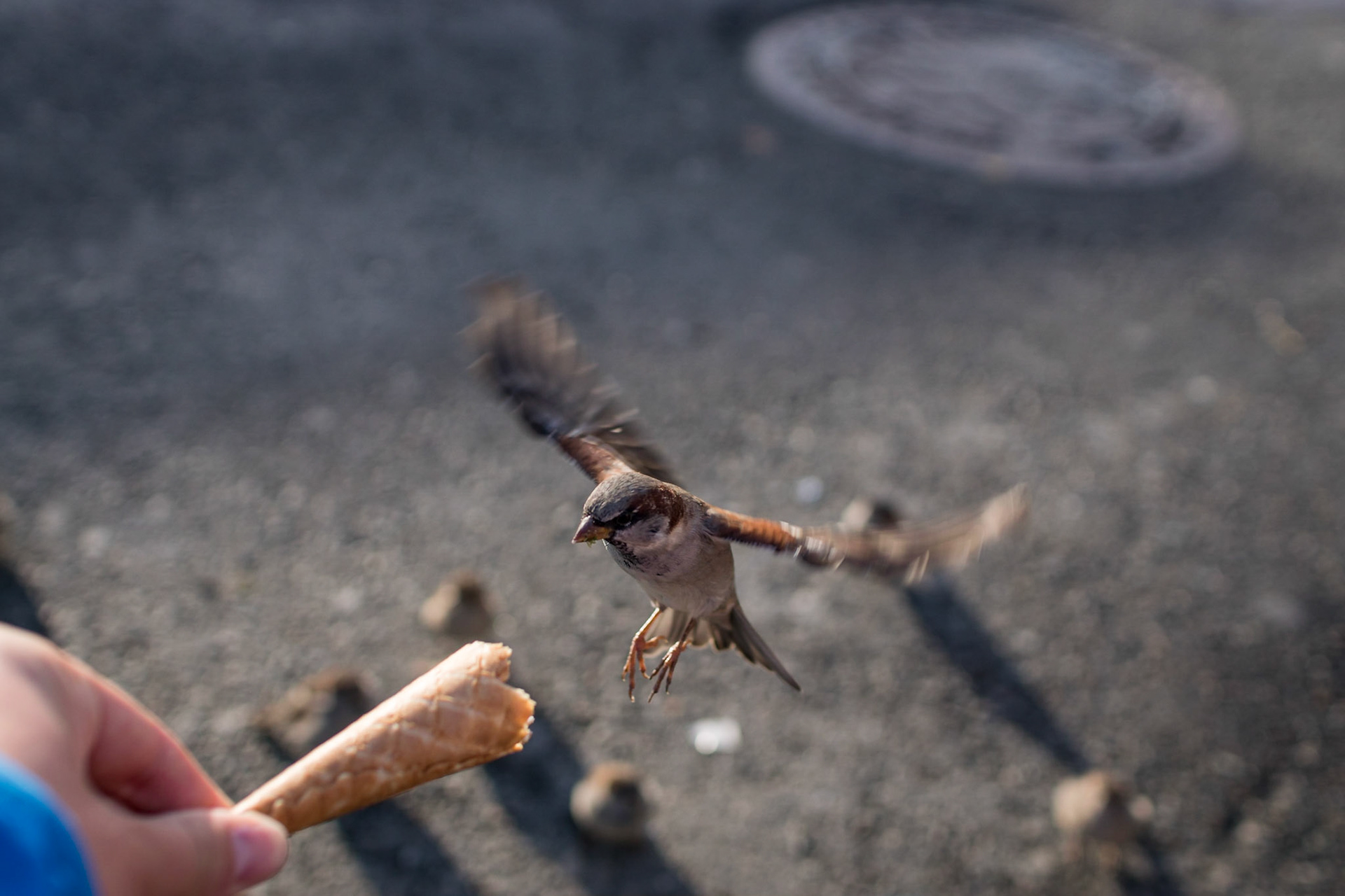 Sony ILCA-77M2 | DT 30mm F1.4 @ ISO 100 | 30 mm | f/2.5 | 1/1000 s