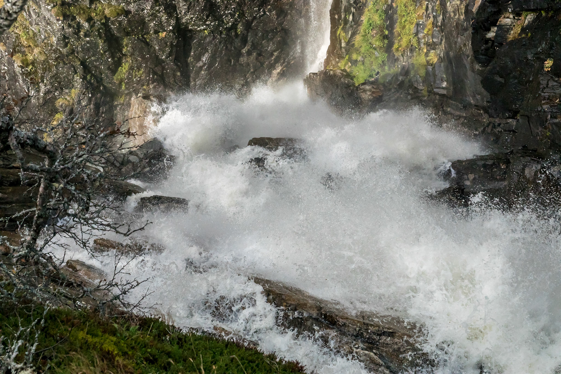 Sony ILCA-77M2 | DT 16-50mm F2.8 SSM @ ISO 1000 | 50 mm | f/8 | 1/2500 s